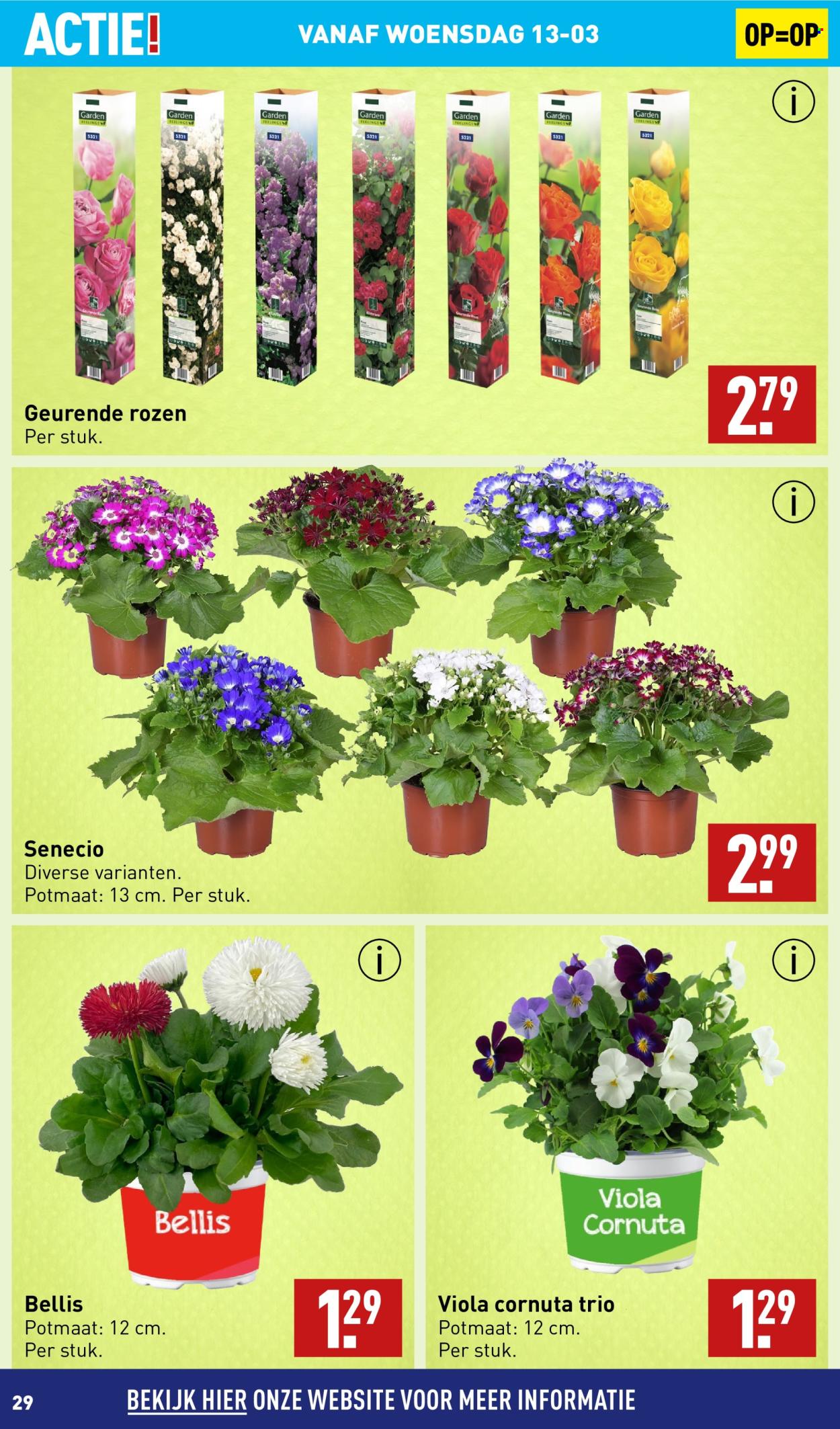 Aldi-aanbieding - 11-3-2024 - 17-3-2024. Pagina 29