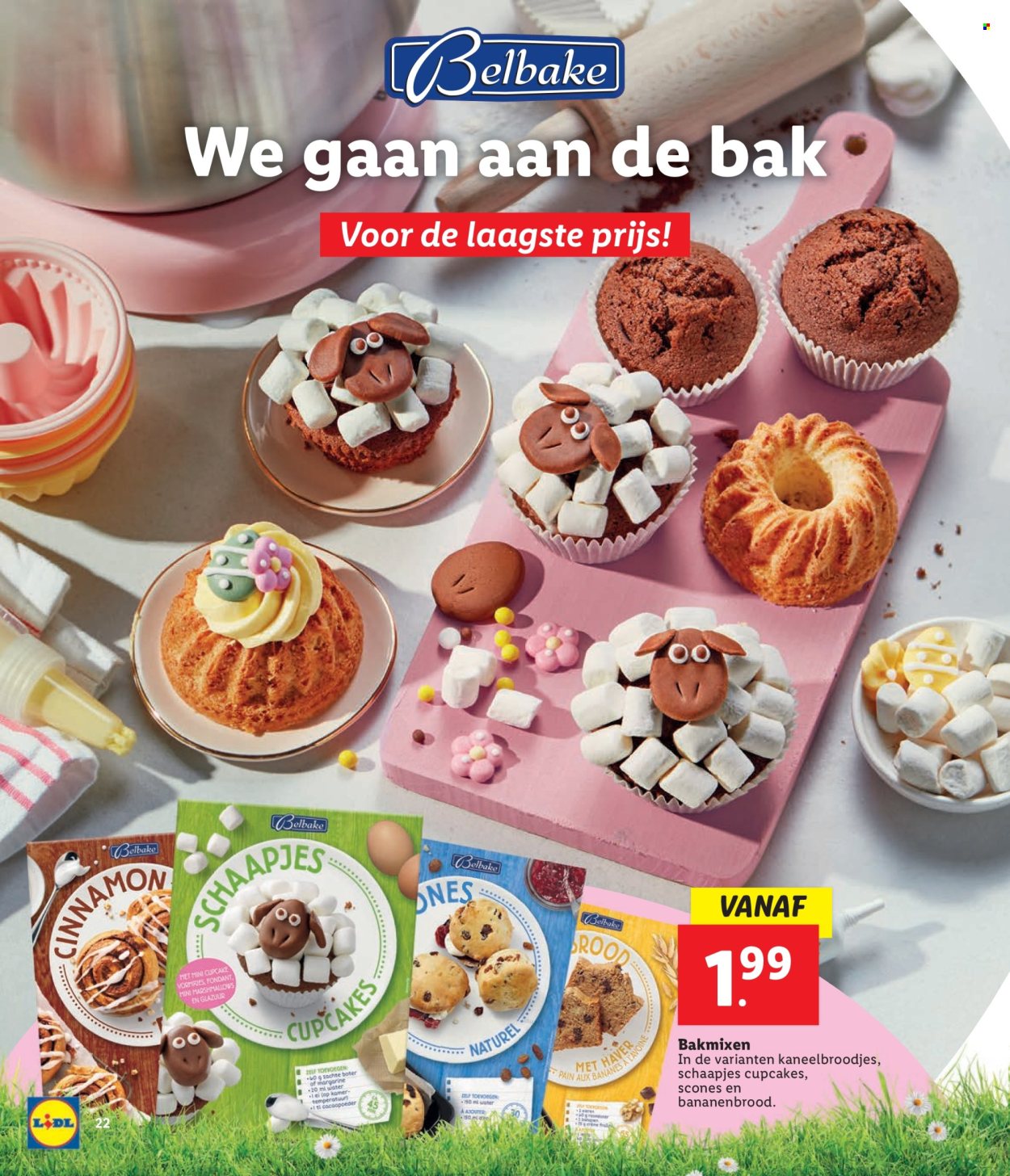 Lidl-aanbieding. Pagina 22