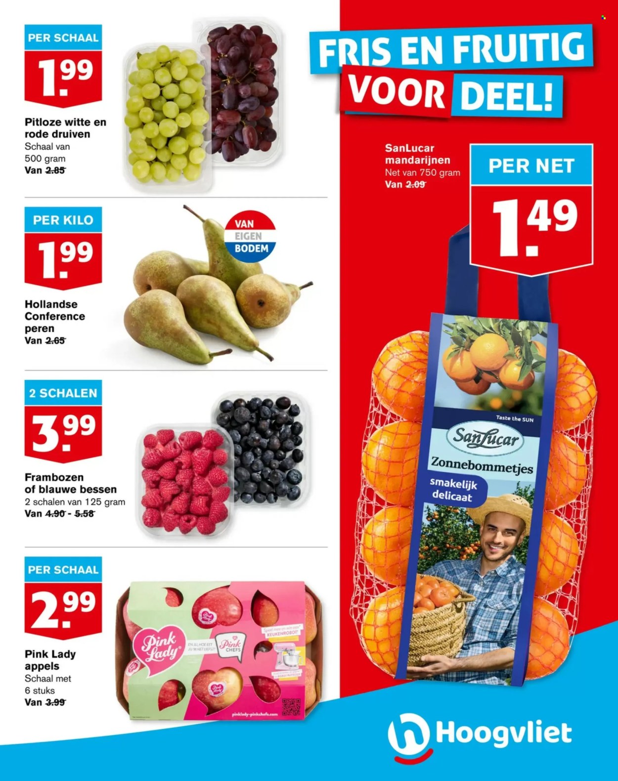 Hoogvliet-aanbieding - 13-3-2024 - 19-3-2024. Pagina 3