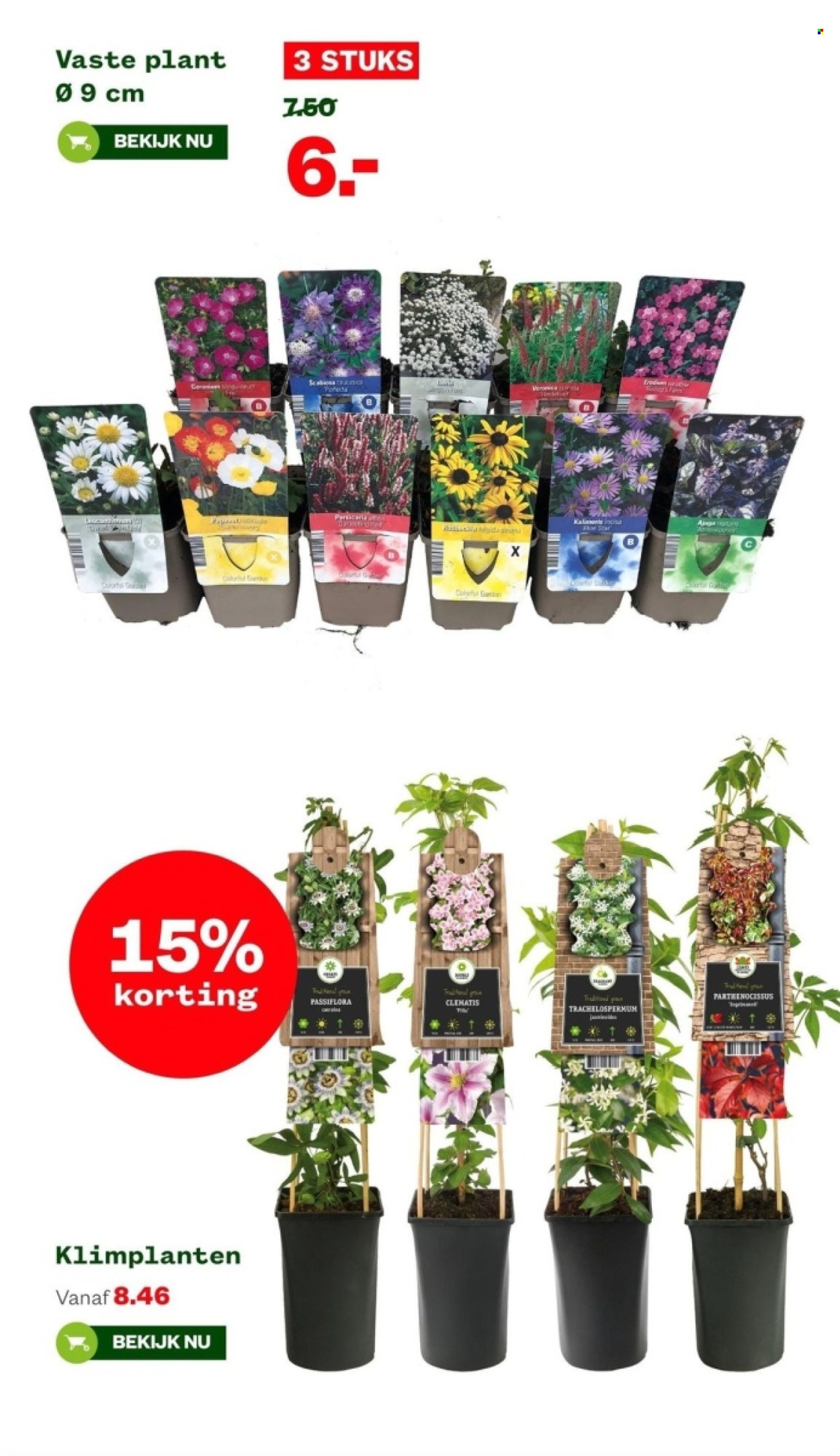 Welkoop-aanbieding - 11-3-2024 - 24-3-2024. Pagina 8