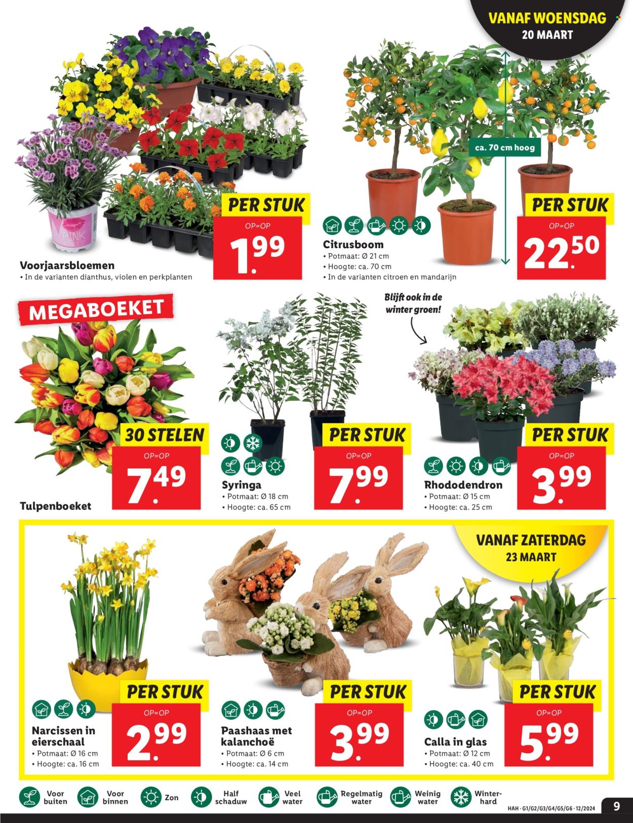 Lidl-aanbieding - 18-3-2024 - 24-3-2024. Pagina 9