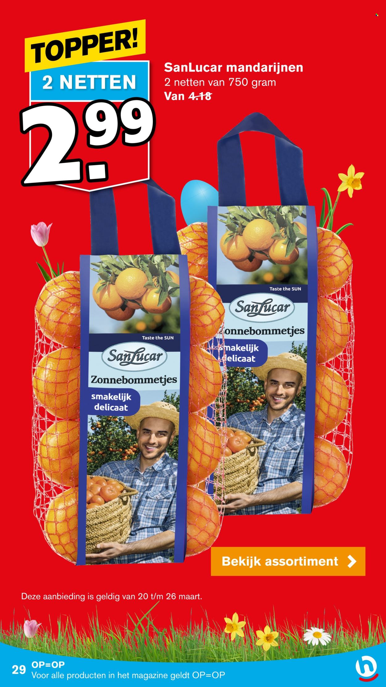 Hoogvliet-aanbieding - 20-3-2024 - 26-3-2024. Pagina 29
