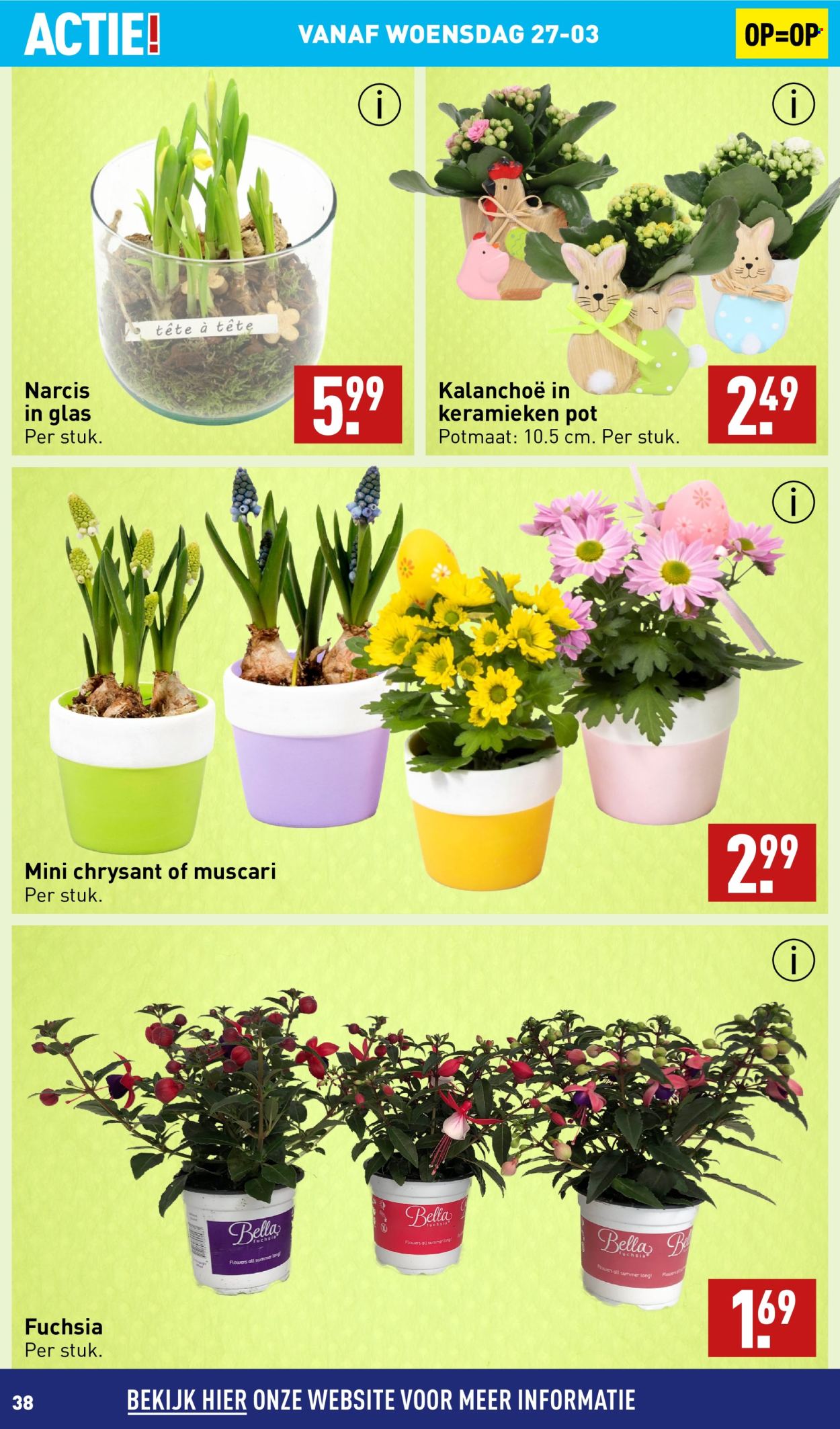 Aldi-aanbieding - 25-3-2024 - 1-4-2024. Pagina 38