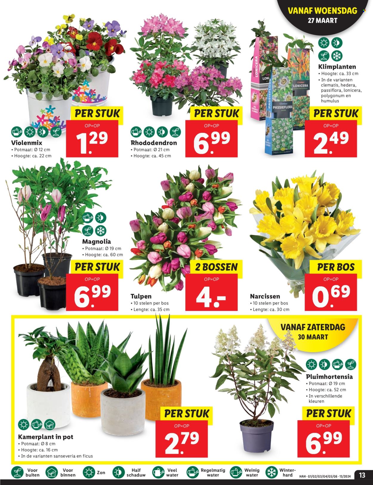 Lidl-aanbieding - 25-3-2024 - 1-4-2024. Pagina 13