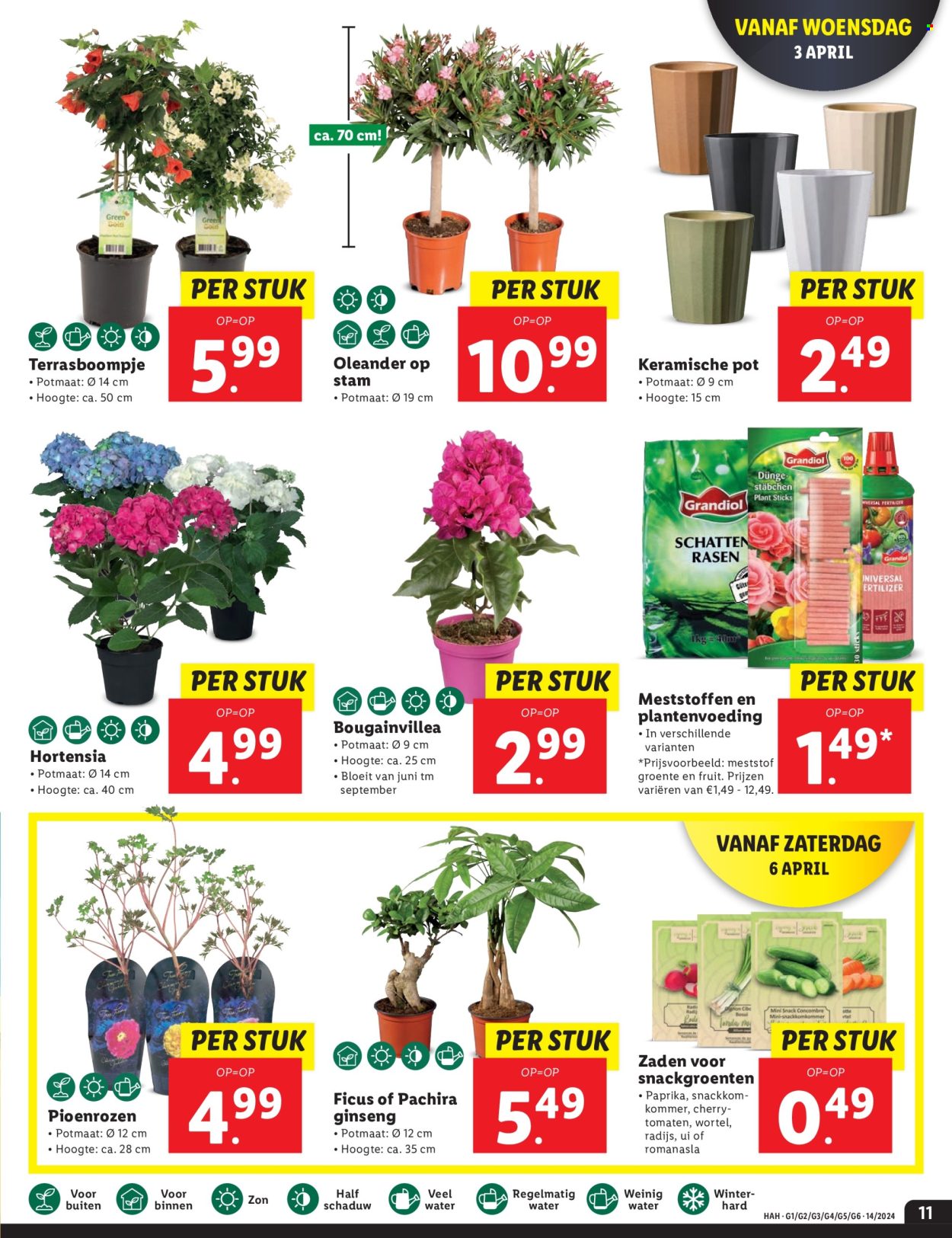 Lidl-aanbieding - 2-4-2024 - 7-4-2024. Pagina 11