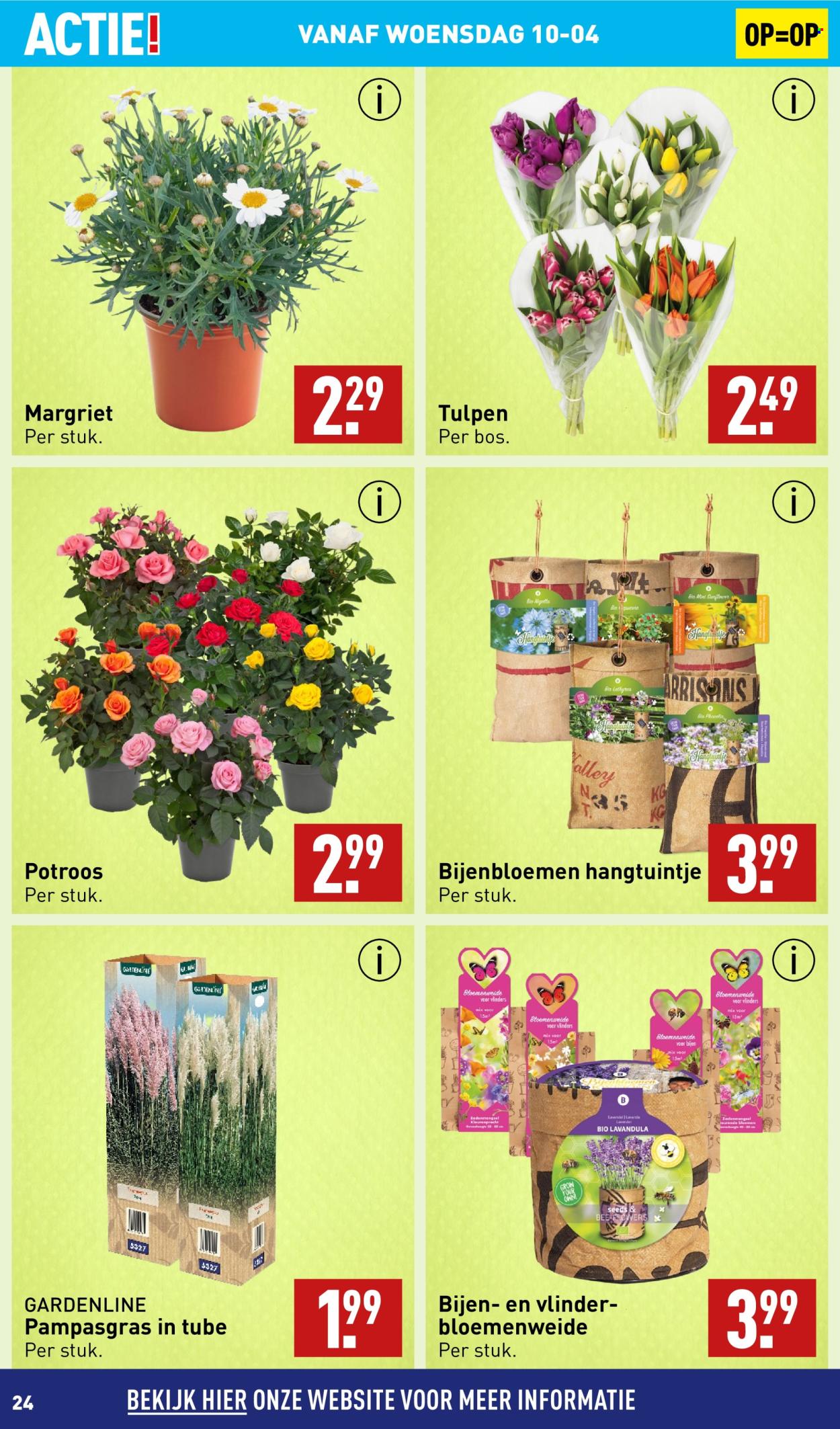 Aldi-aanbieding - 8-4-2024 - 14-4-2024. Pagina 24