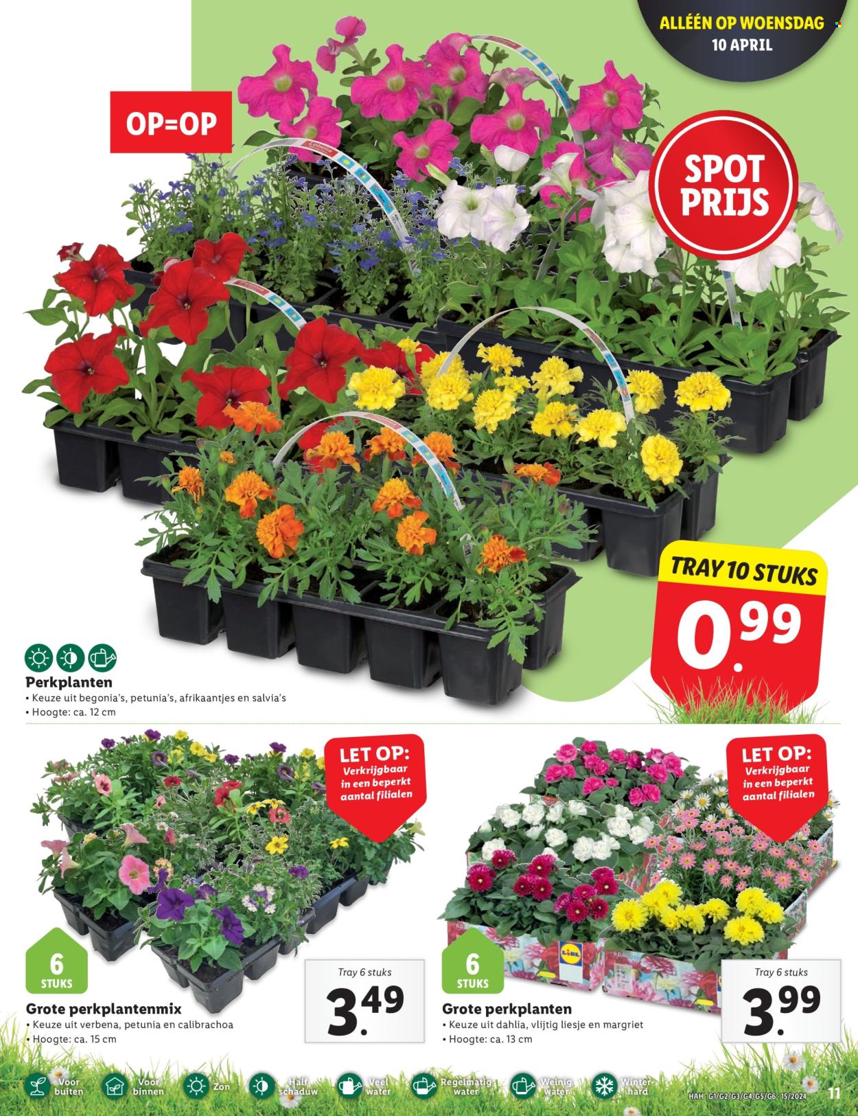 Lidl-aanbieding - 8-4-2024 - 14-4-2024. Pagina 11