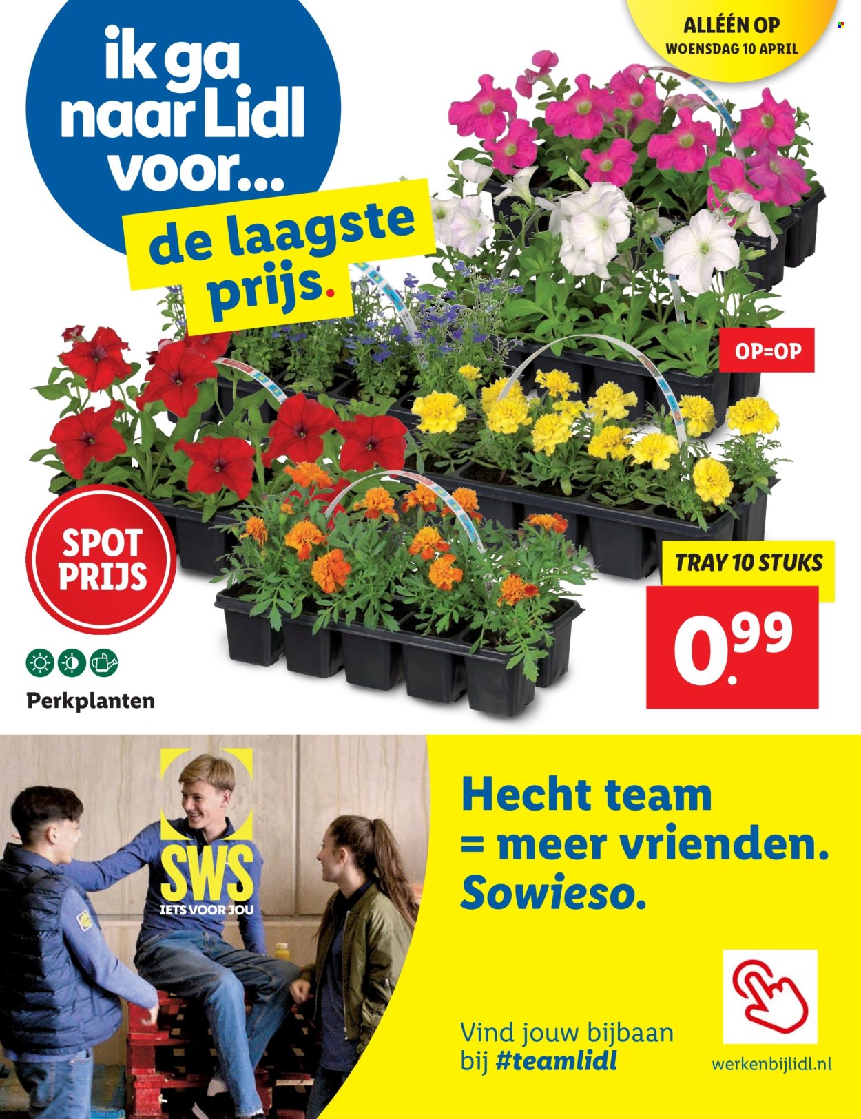 Lidl-aanbieding - 8-4-2024 - 14-4-2024. Pagina 50