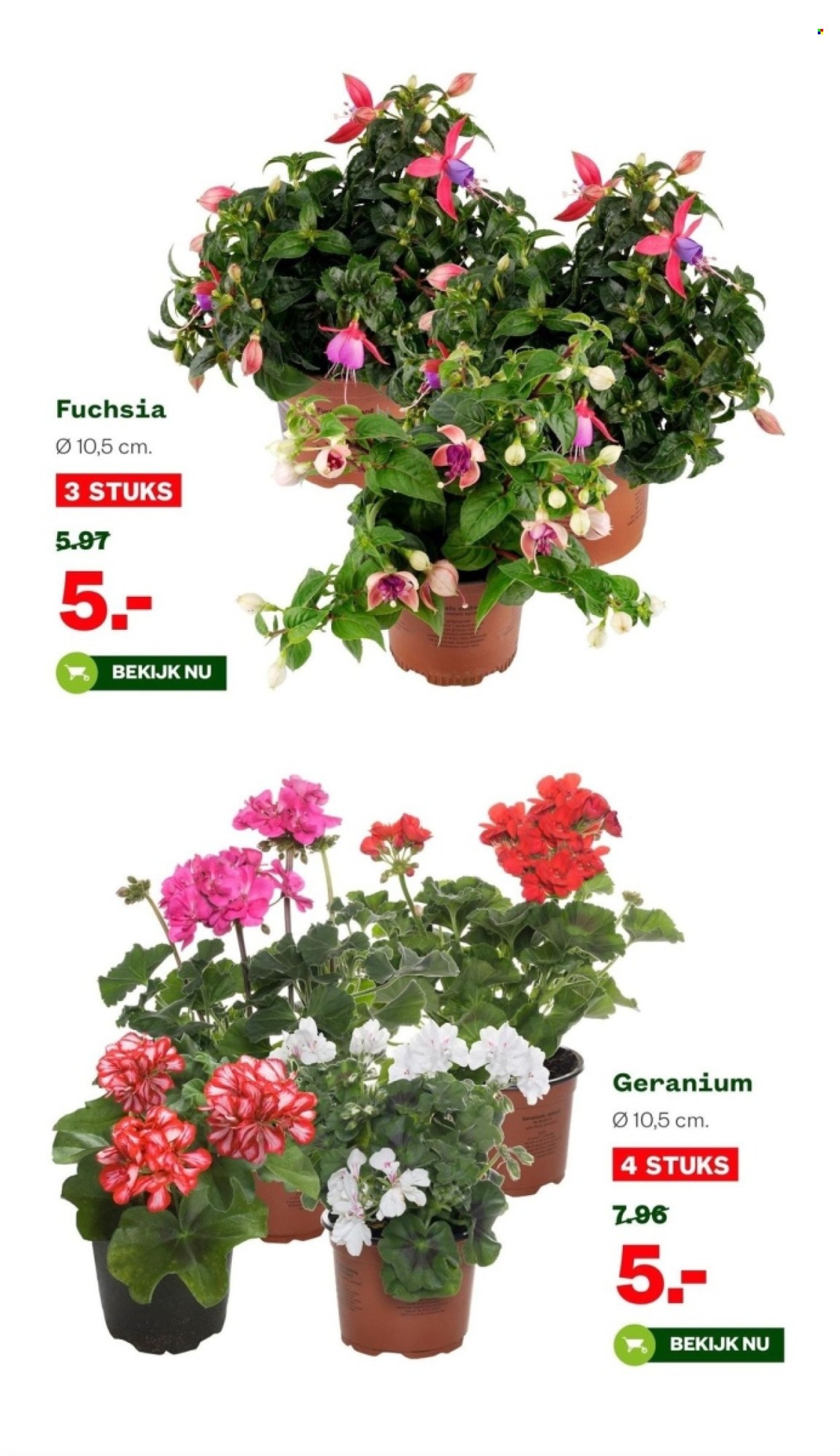 Welkoop-aanbieding - 8-4-2024 - 21-4-2024. Pagina 6