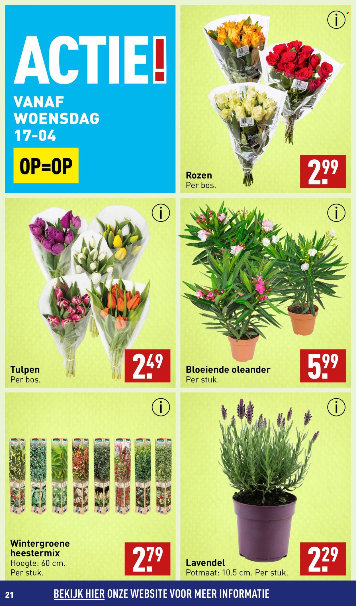 Aldi-aanbieding - 15-4-2024 - 21-4-2024. Pagina 21