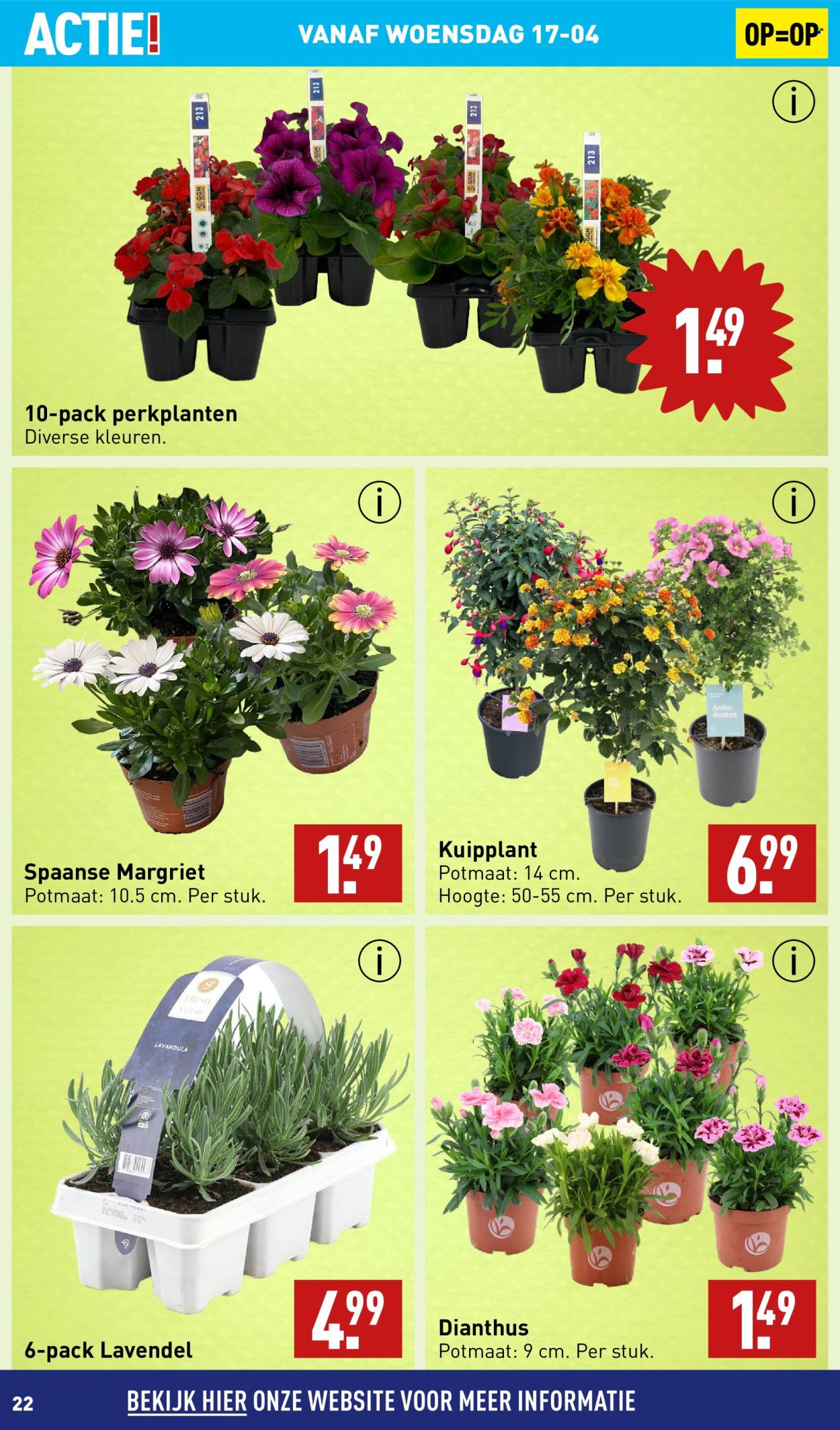 Aldi-aanbieding - 15-4-2024 - 21-4-2024. Pagina 22