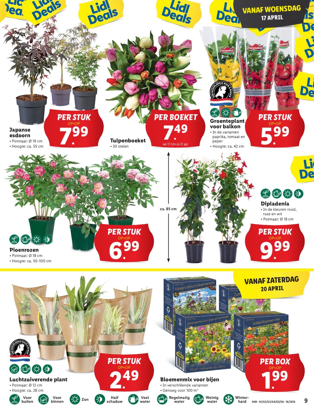 Lidl-aanbieding - 15-4-2024 - 21-4-2024. Pagina 9