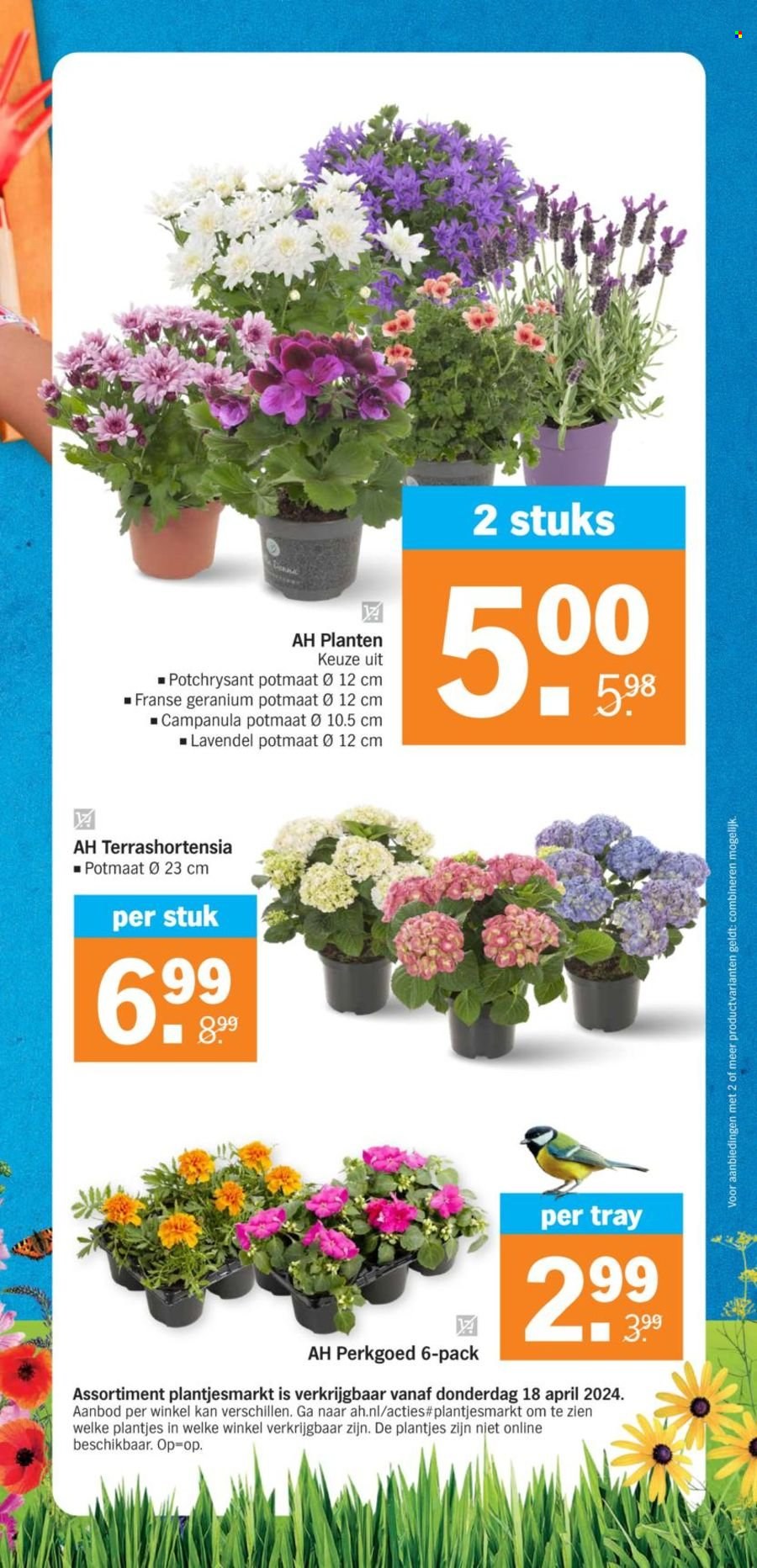 Albert Heijn-aanbieding - 15-4-2024 - 21-4-2024. Pagina 22