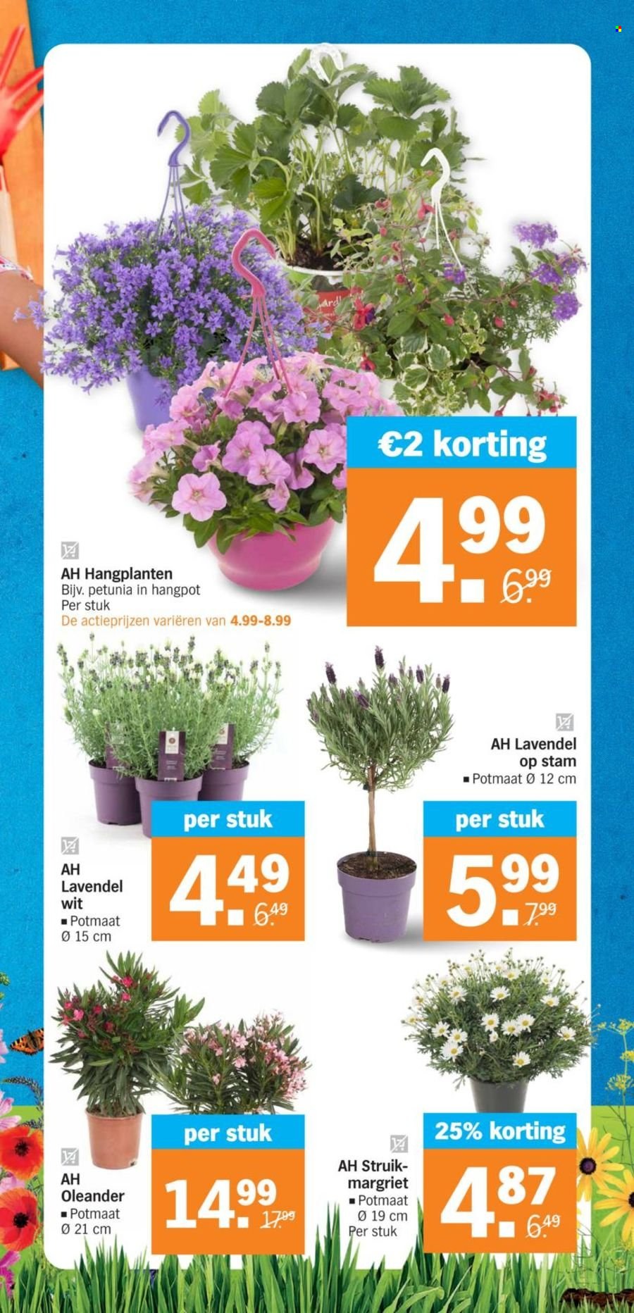 Albert Heijn-aanbieding - 15-4-2024 - 21-4-2024. Pagina 24