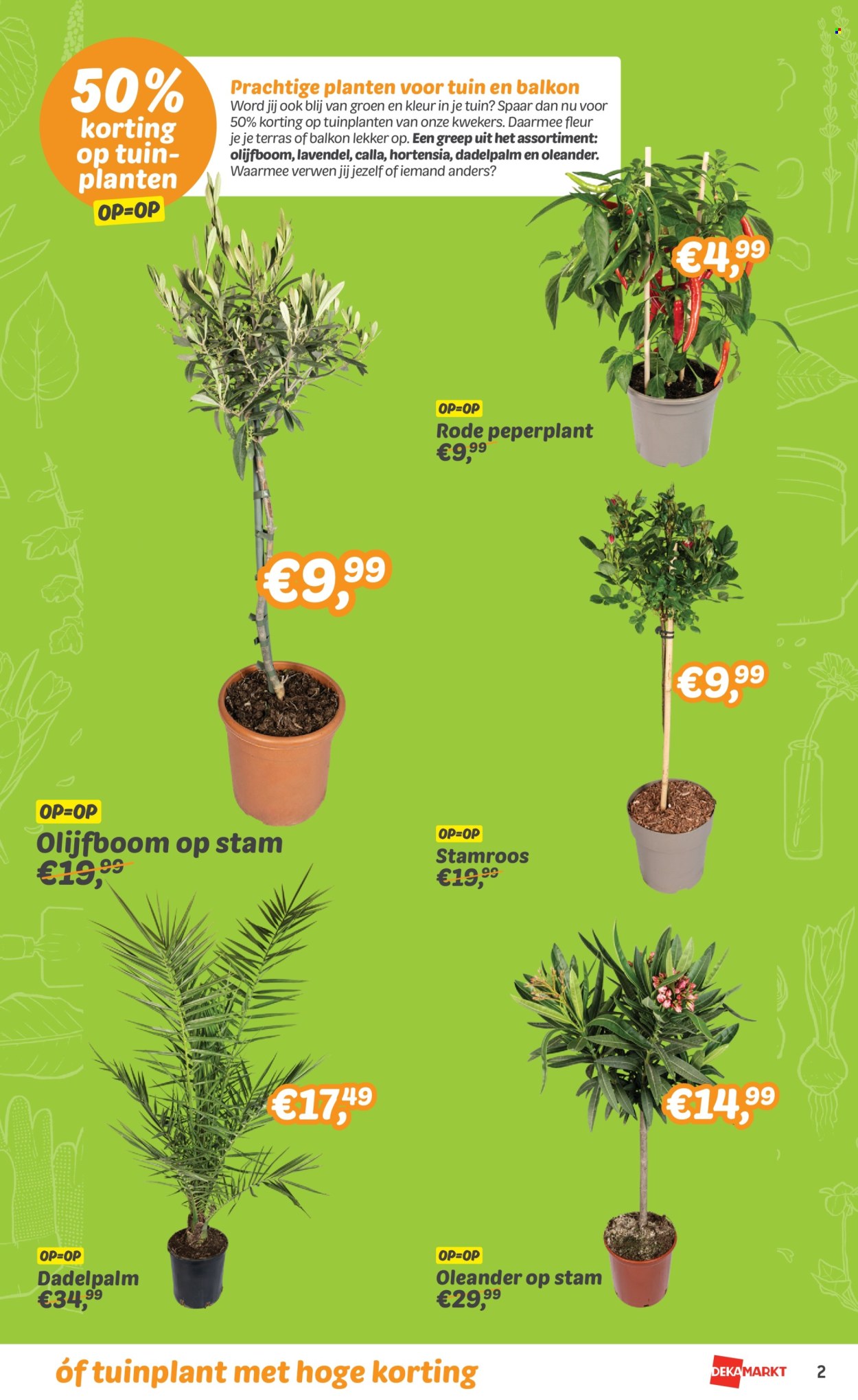 DekaMarkt-aanbieding - 16-4-2024 - 22-4-2024. Pagina 3