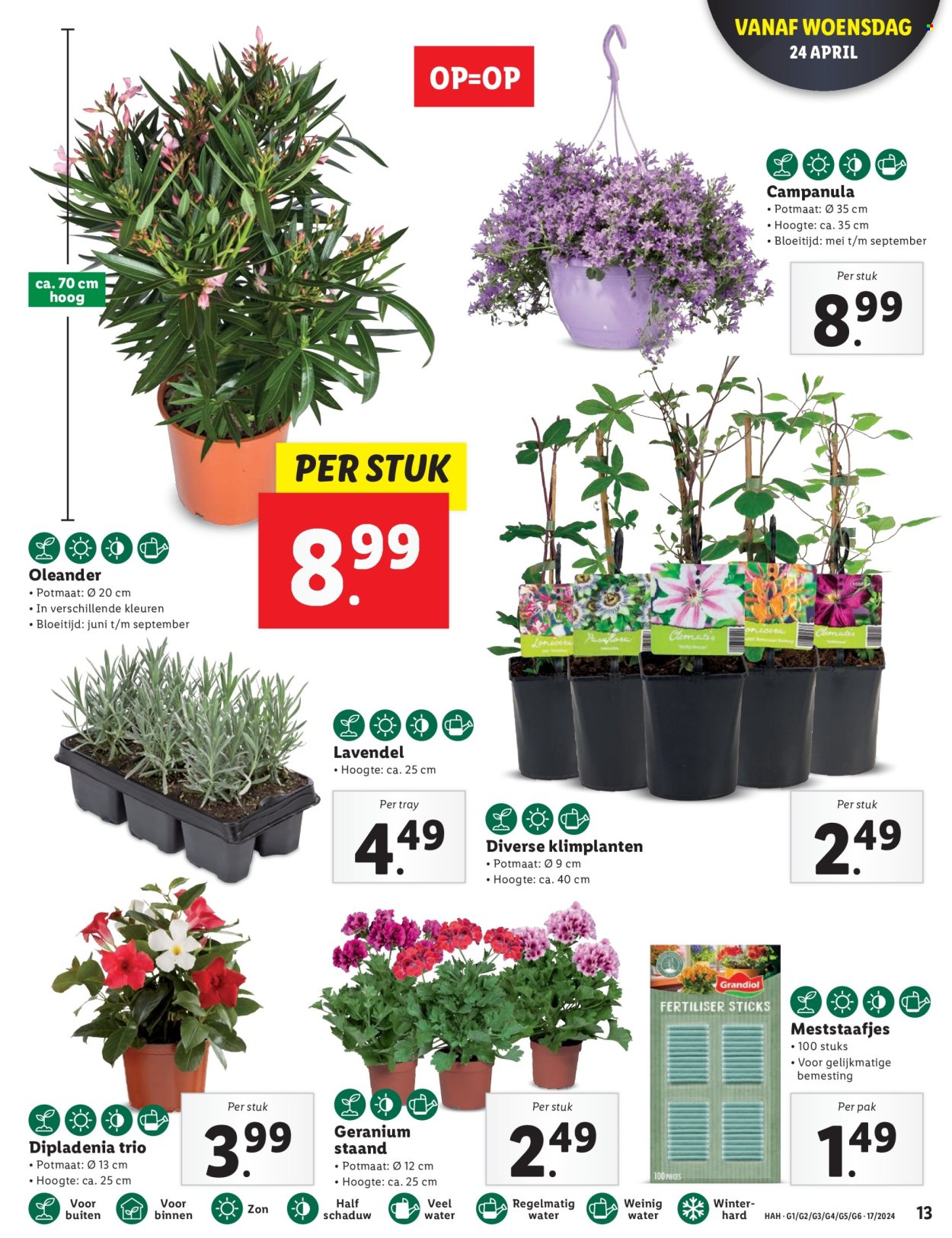 Lidl-aanbieding - 22-4-2024 - 28-4-2024. Pagina 13