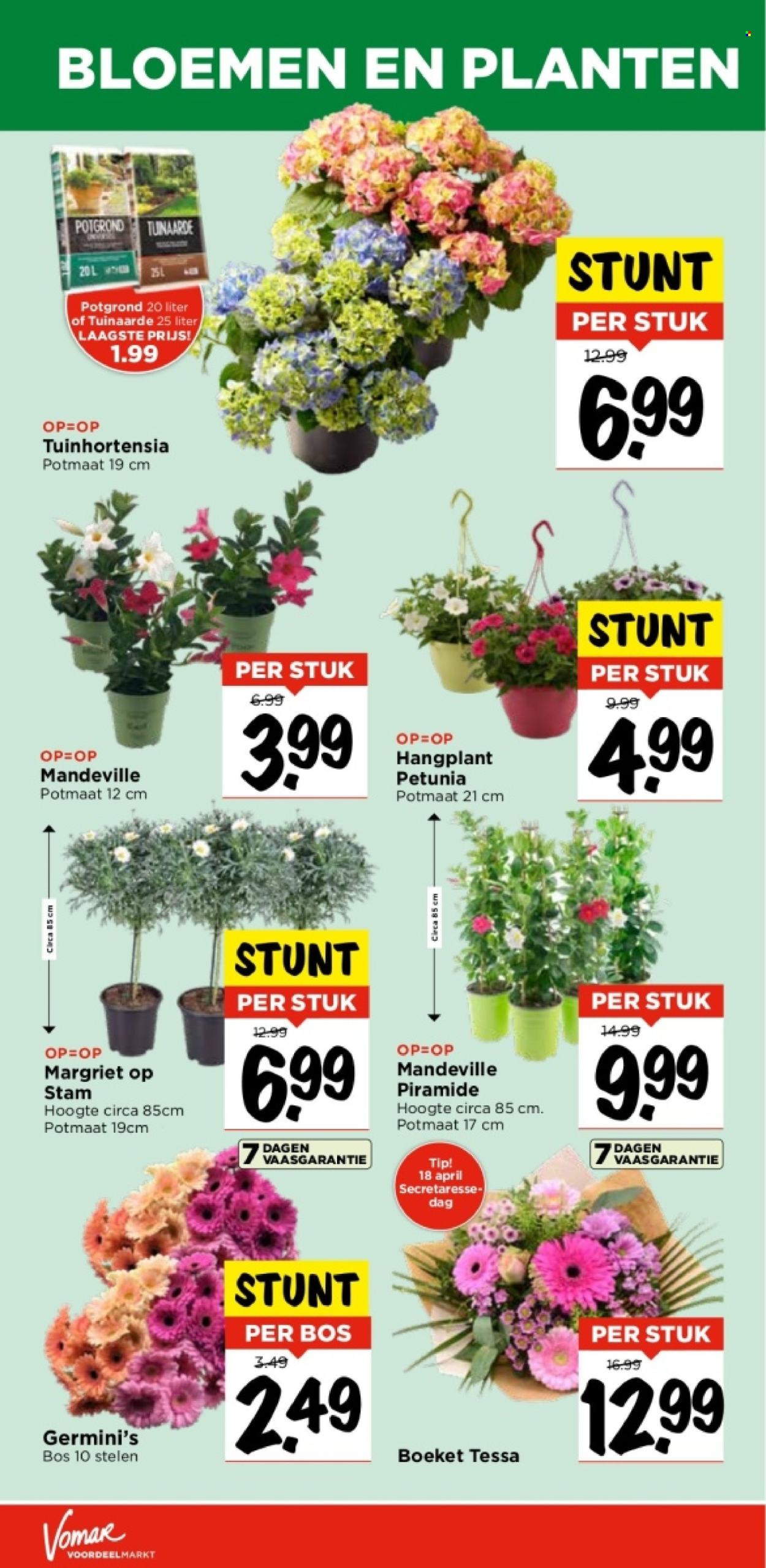 Vomar-aanbieding - 18-4-2024 - 20-4-2024. Pagina 35
