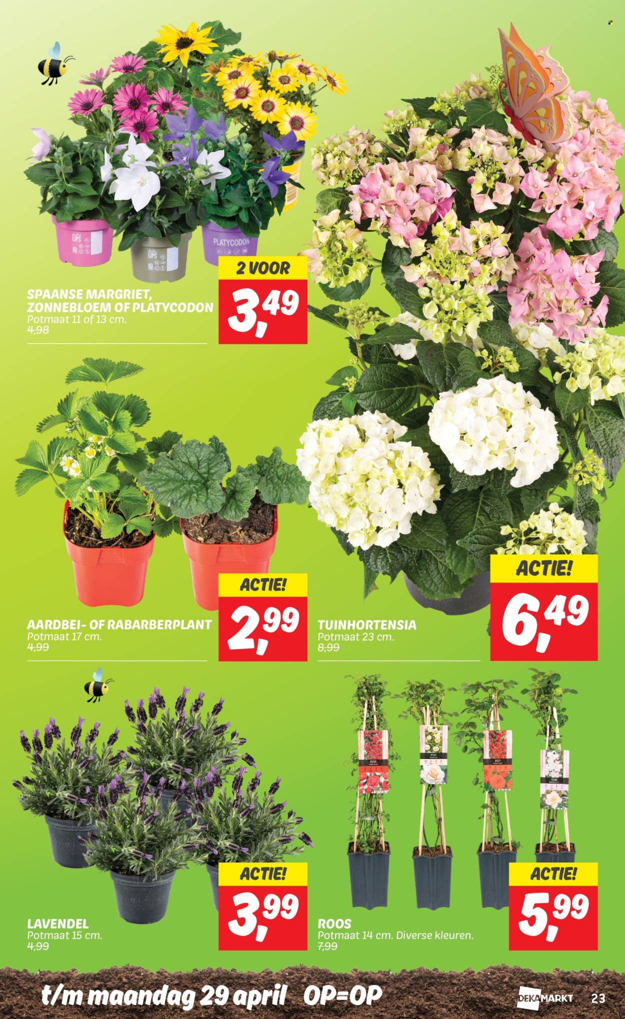 DekaMarkt-aanbieding - 23-4-2024 - 29-4-2024. Pagina 23