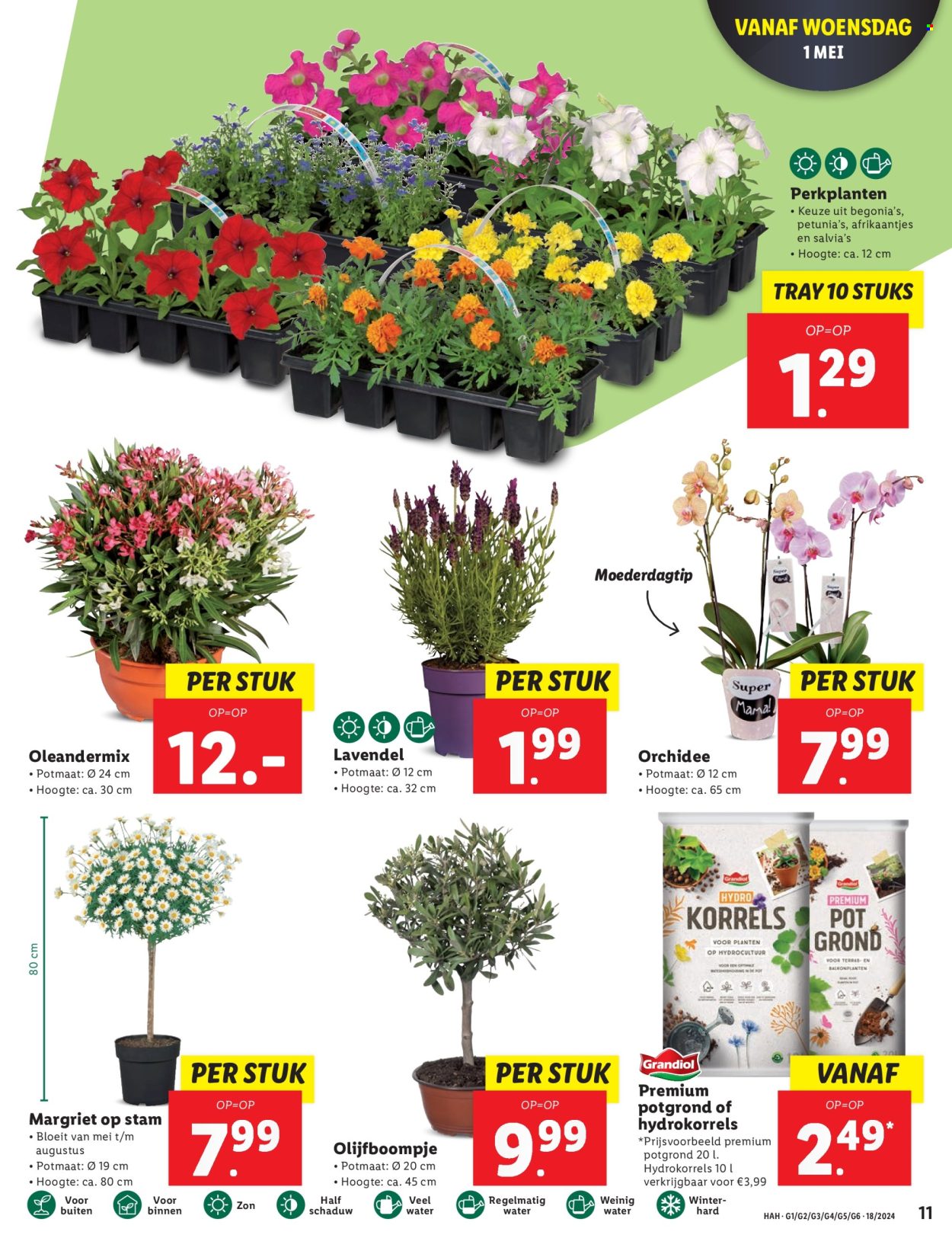 Lidl-aanbieding - 29-4-2024 - 5-5-2024. Pagina 11