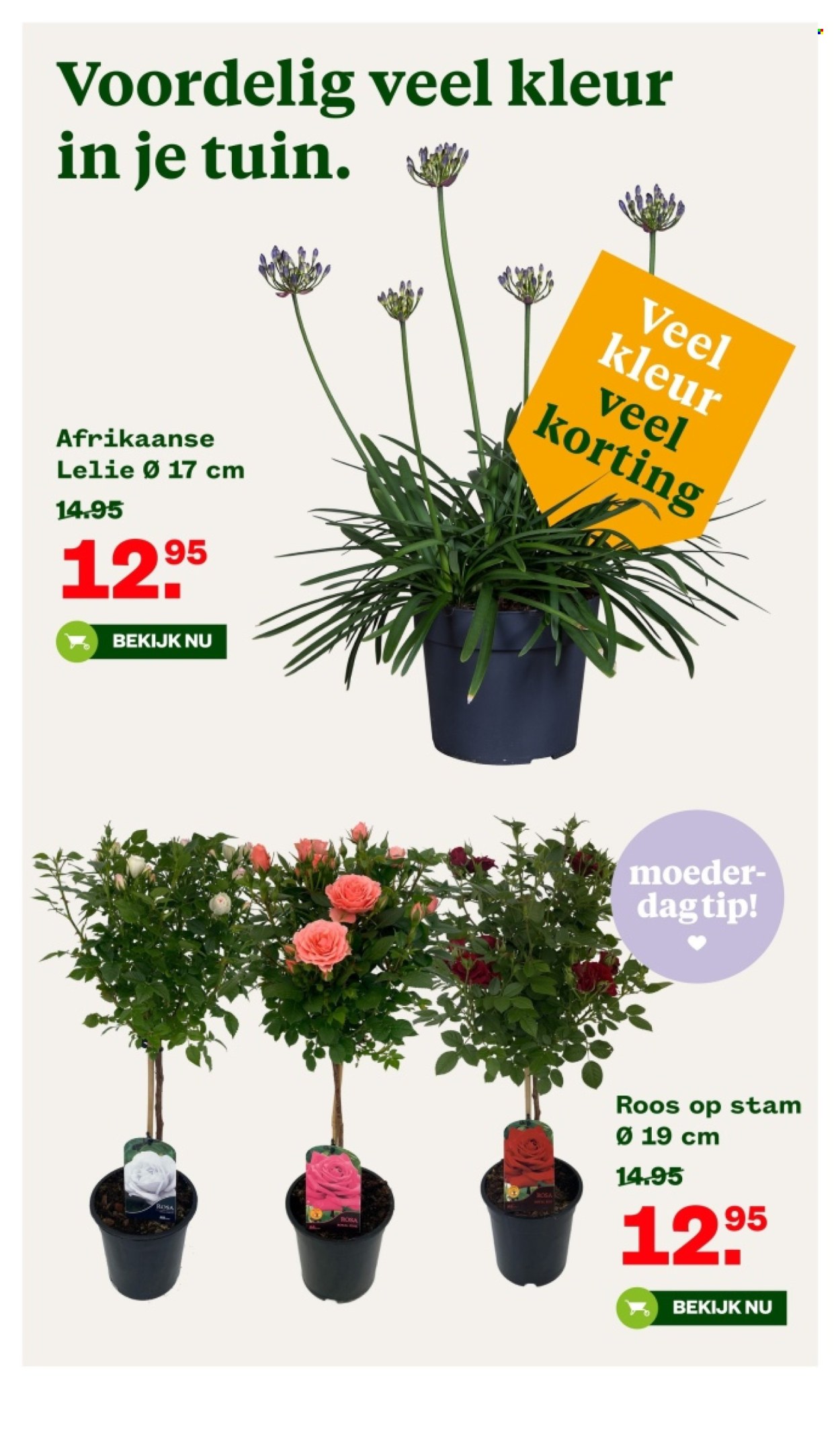 Welkoop-aanbieding - 6-5-2024 - 19-5-2024. Pagina 4