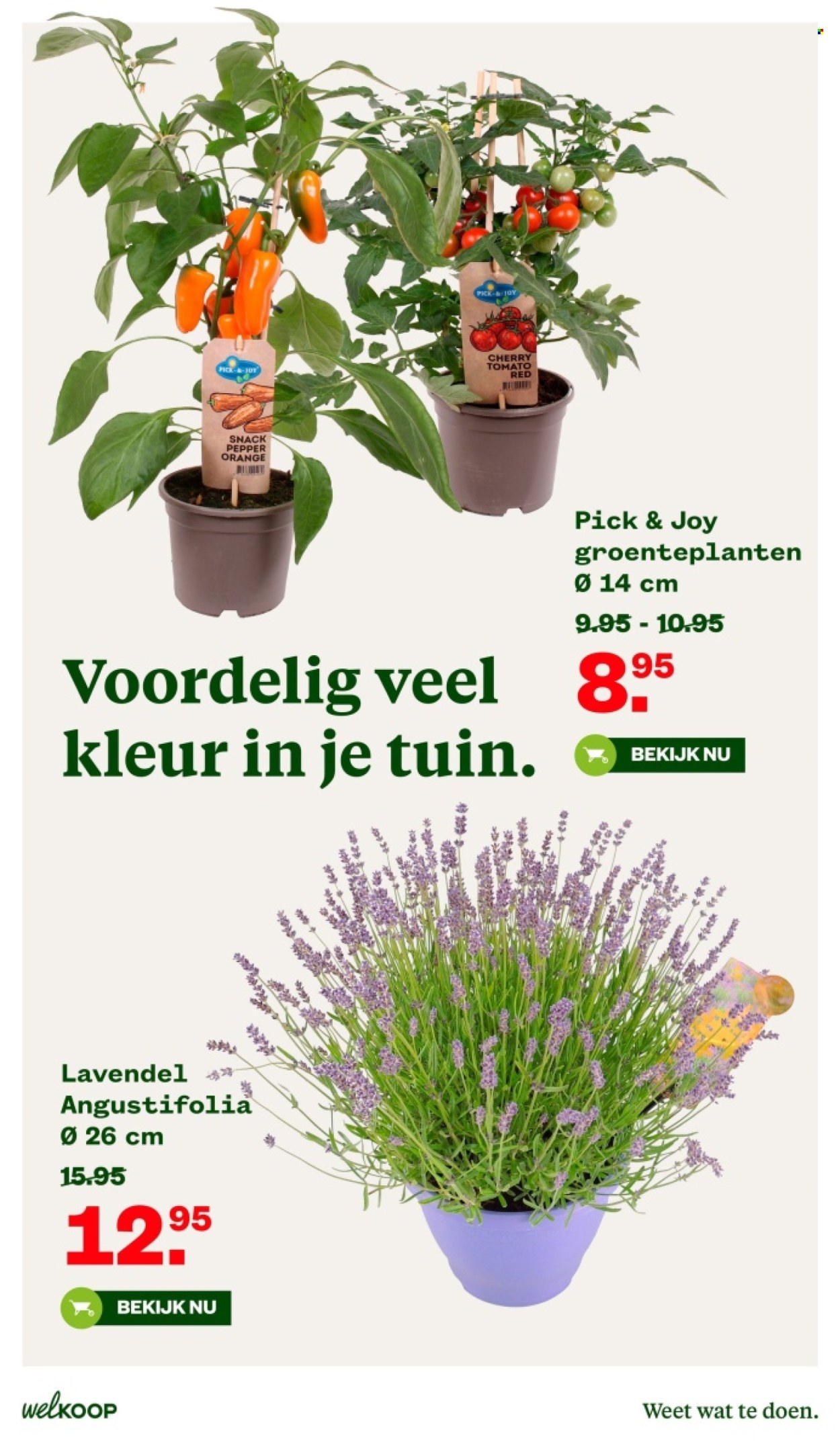 Welkoop-aanbieding - 6-5-2024 - 19-5-2024. Pagina 5