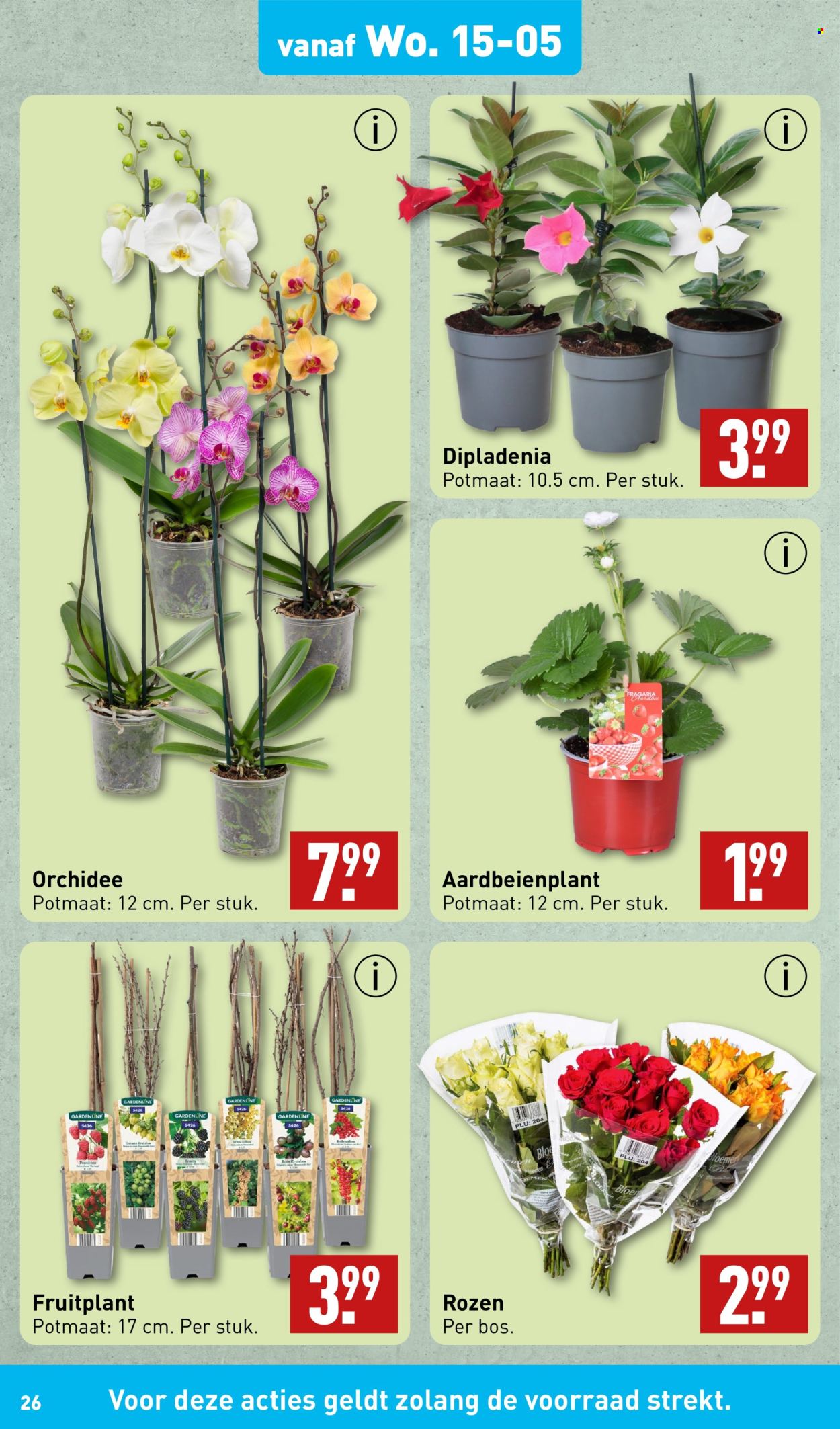 Aldi-aanbieding - 13-5-2024 - 20-5-2024. Pagina 26