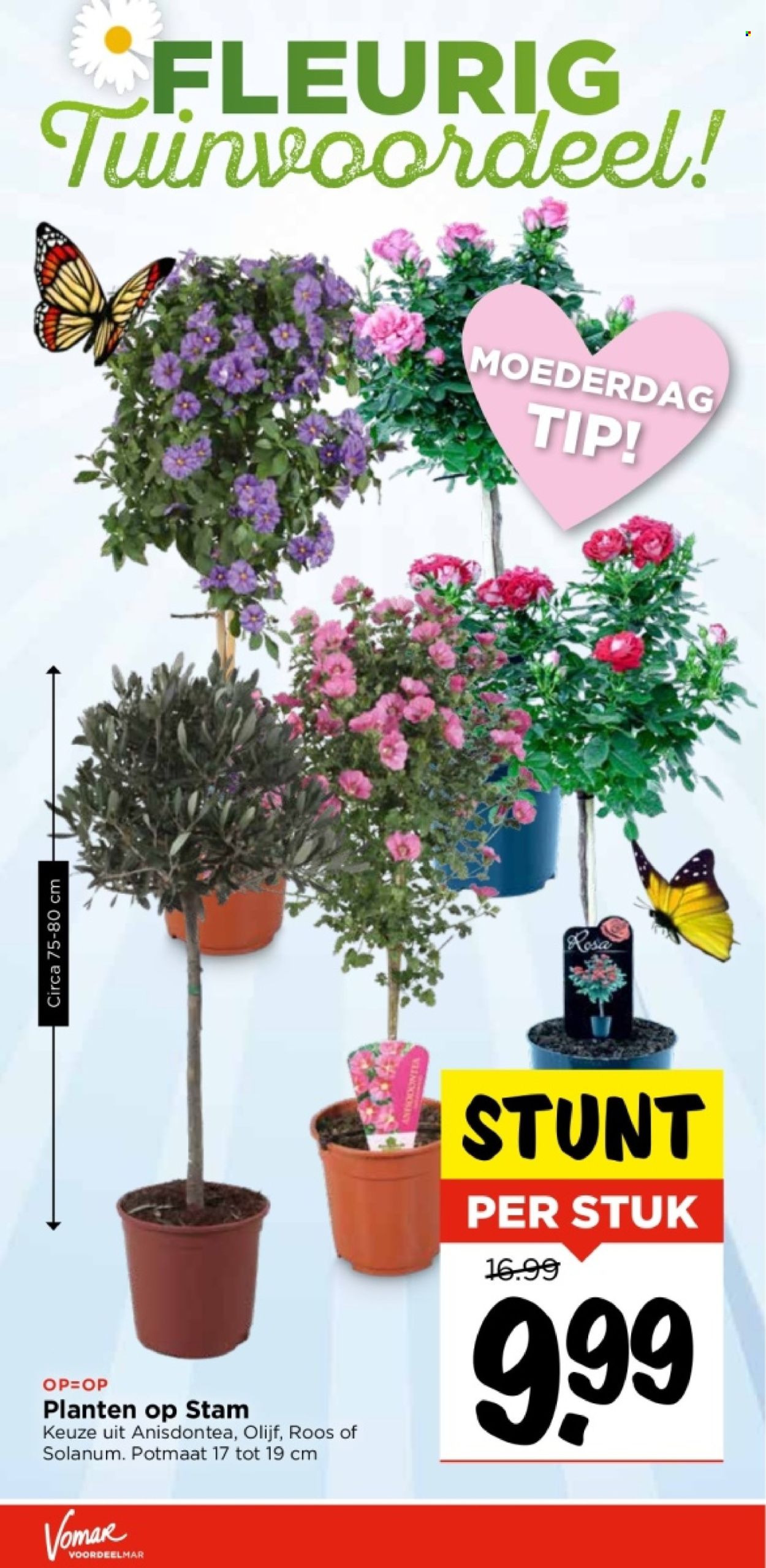Vomar-aanbieding - 9-5-2024 - 11-5-2024. Pagina 43