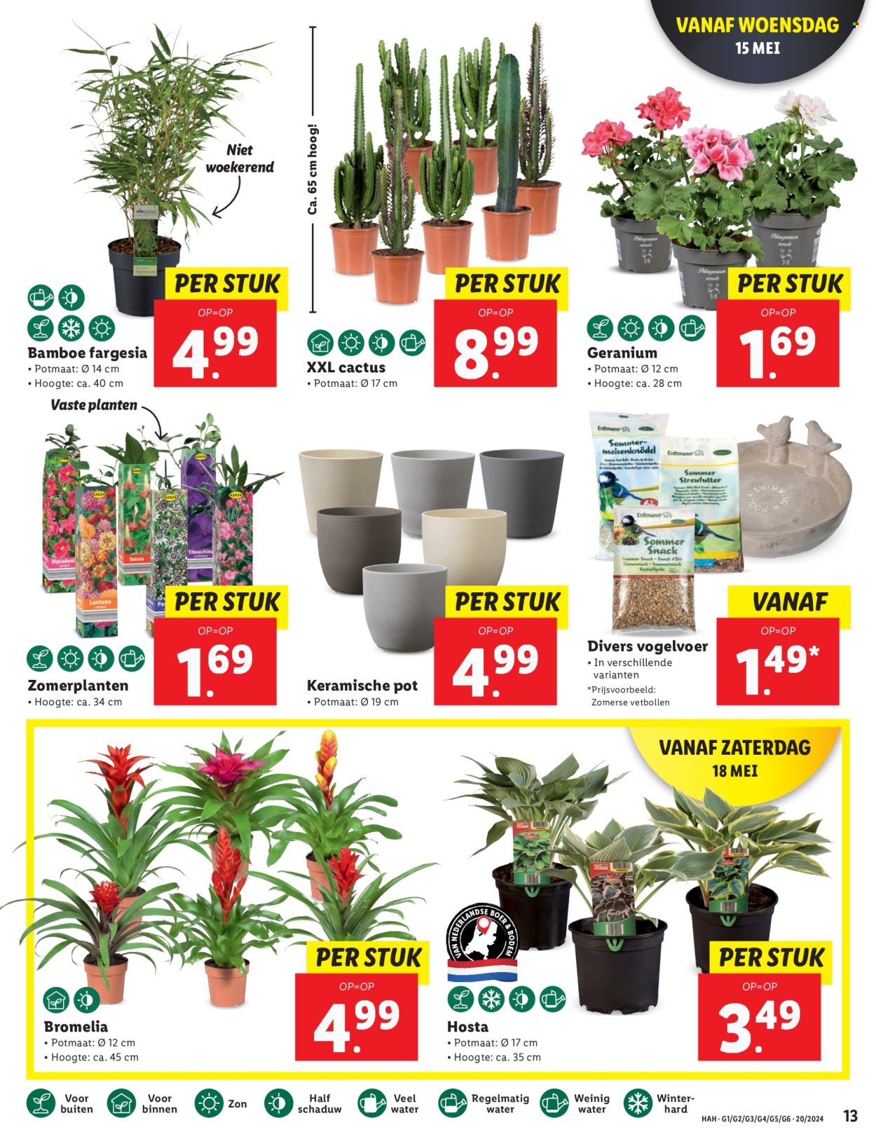 Lidl-aanbieding - 13-5-2024 - 20-5-2024. Pagina 15