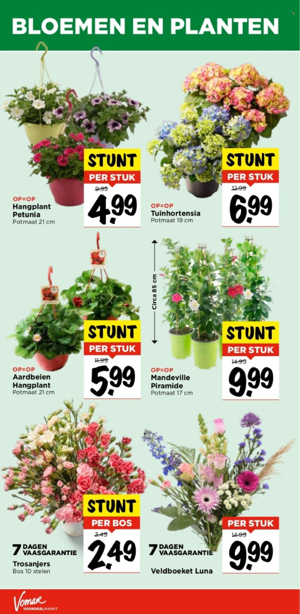 Vomar-aanbieding - 12-5-2024 - 18-5-2024. Pagina 29