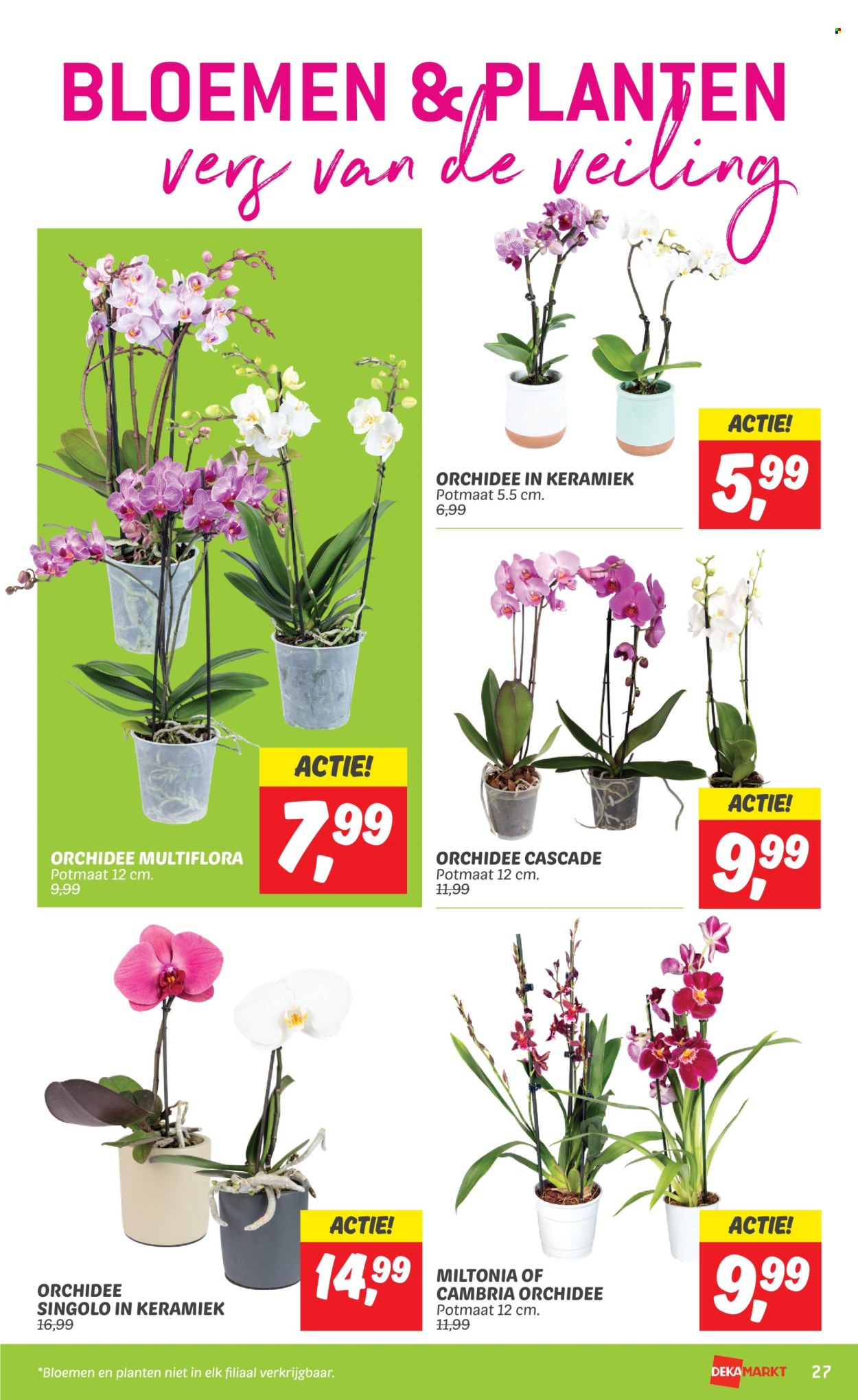 DekaMarkt-aanbieding - 14-5-2024 - 20-5-2024. Pagina 29