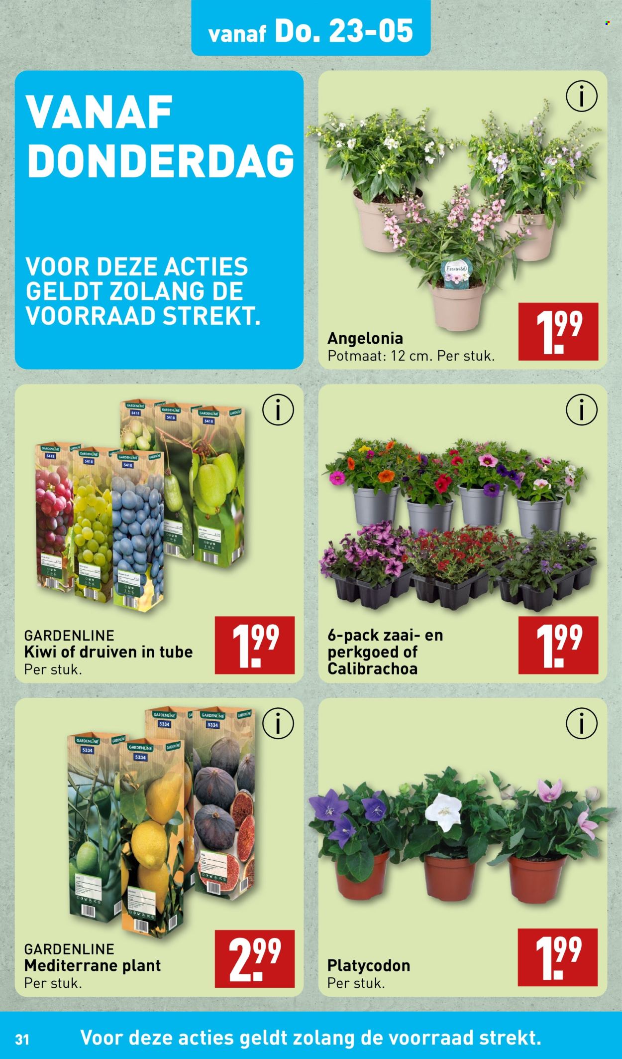 Aldi-aanbieding - 21-5-2024 - 26-5-2024. Pagina 31
