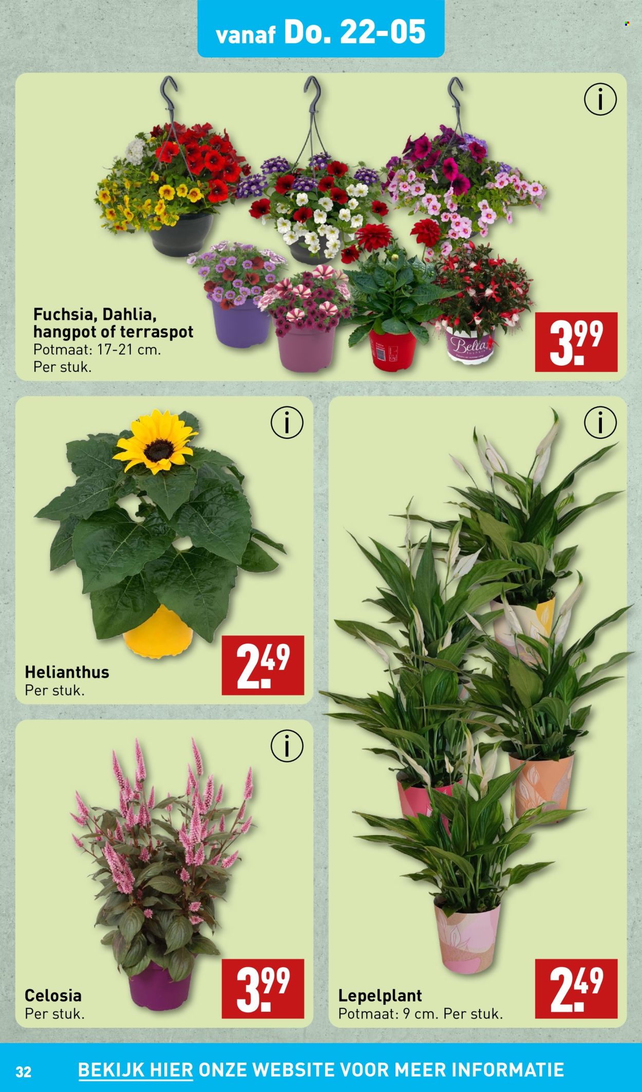 Aldi-aanbieding - 21-5-2024 - 26-5-2024. Pagina 32