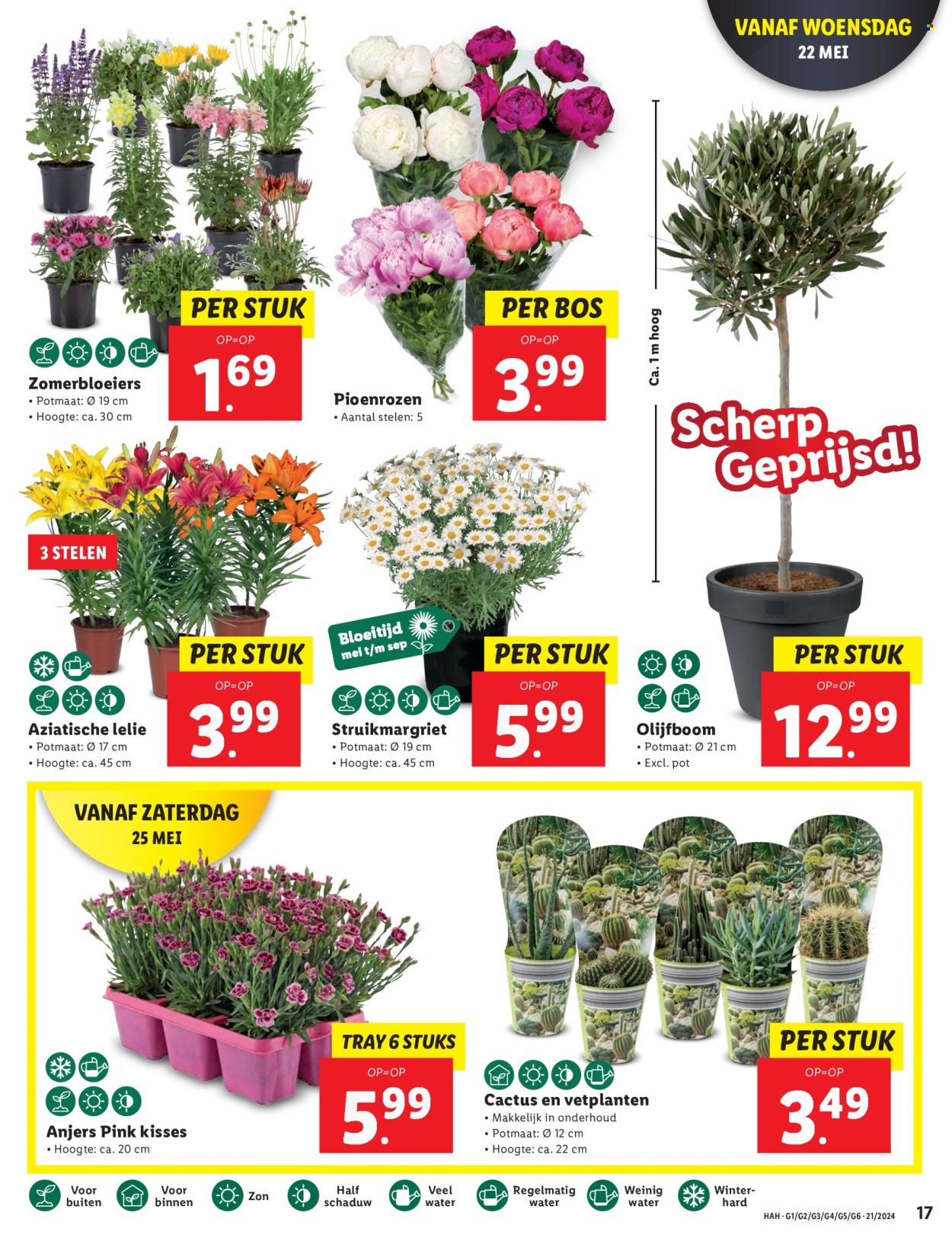 Lidl-aanbieding - 21-5-2024 - 26-5-2024. Pagina 13