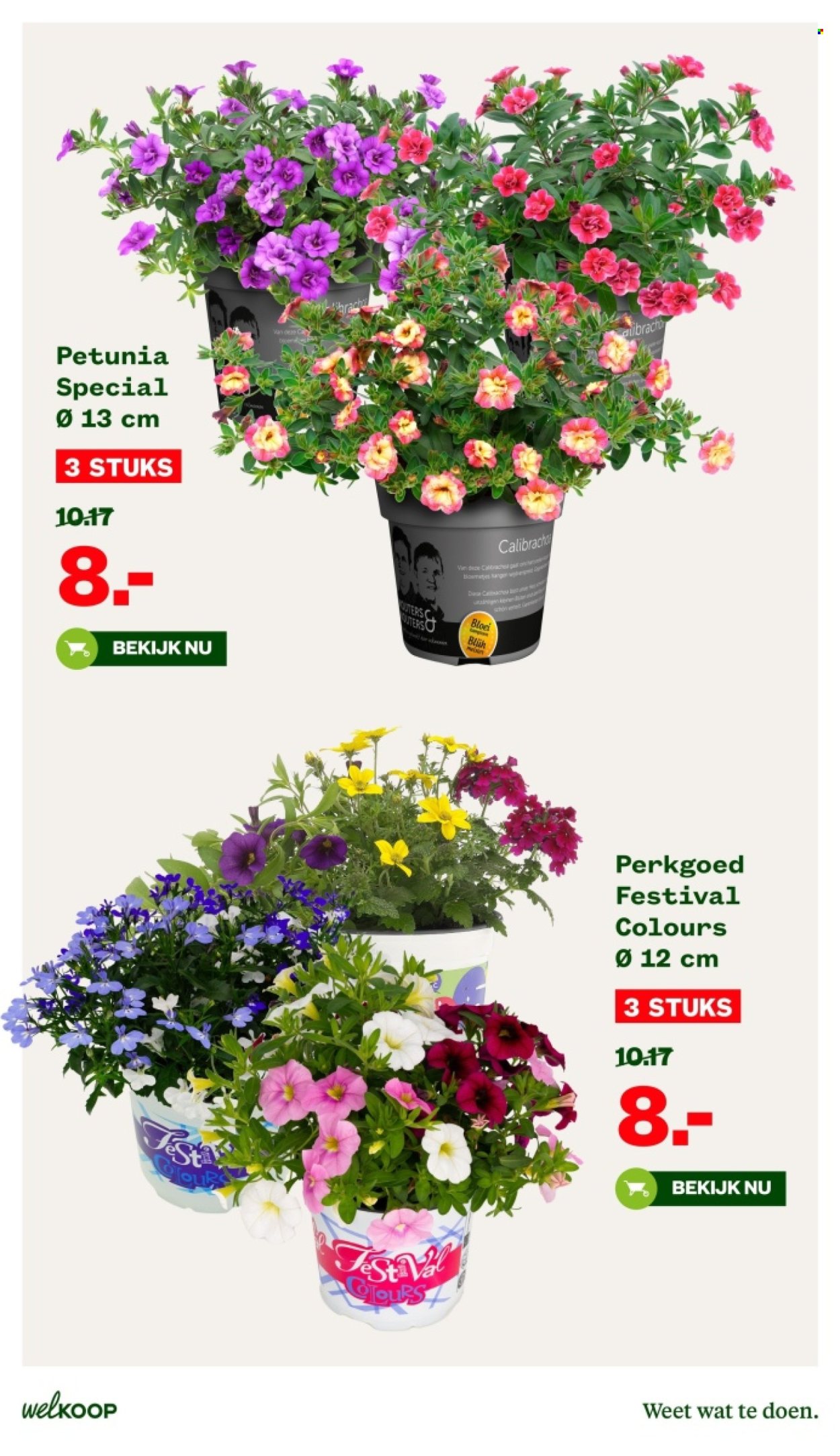 Welkoop-aanbieding - 20-5-2024 - 2-6-2024. Pagina 5