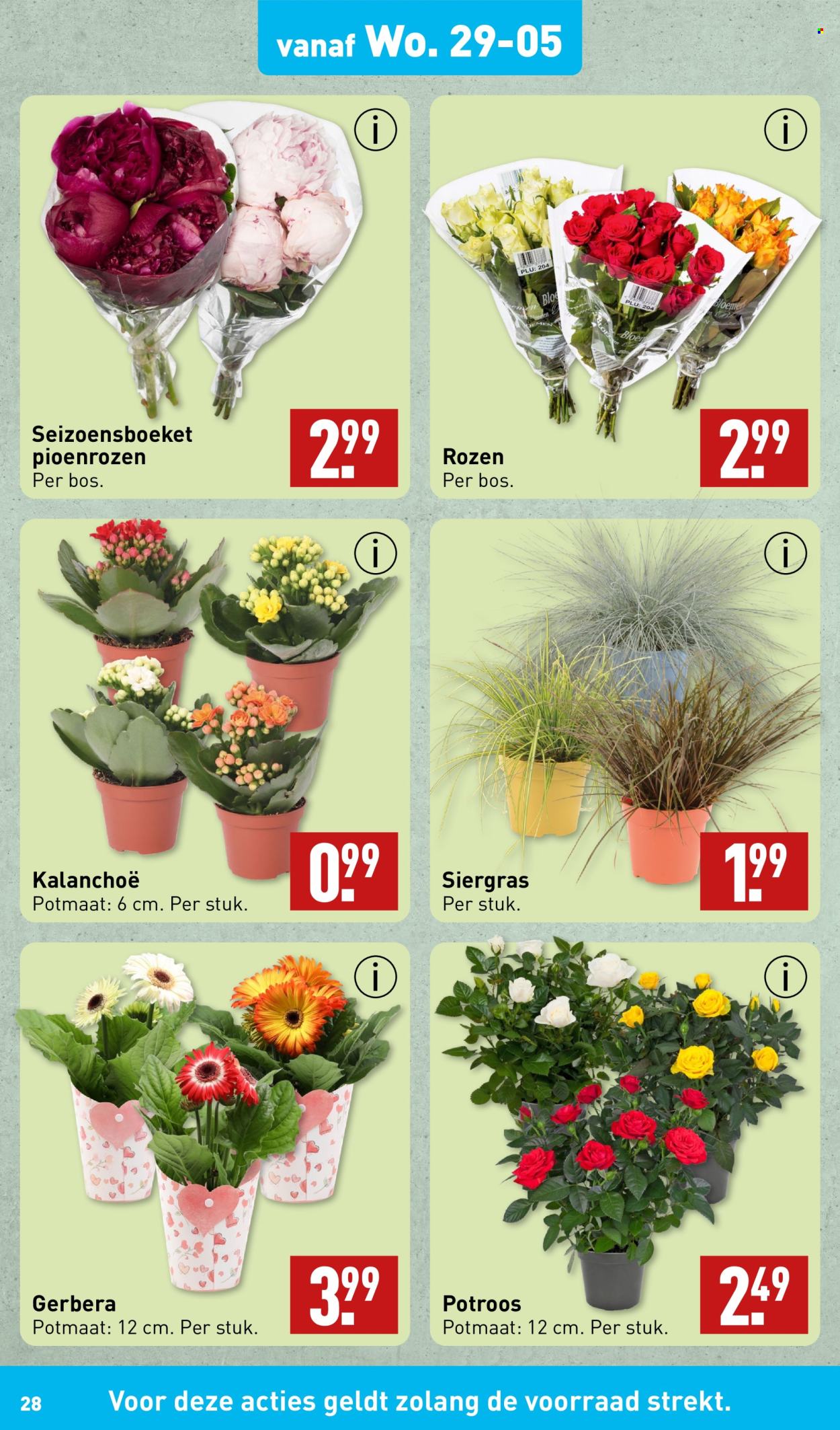 Aldi-aanbieding - 27-5-2024 - 2-6-2024. Pagina 28