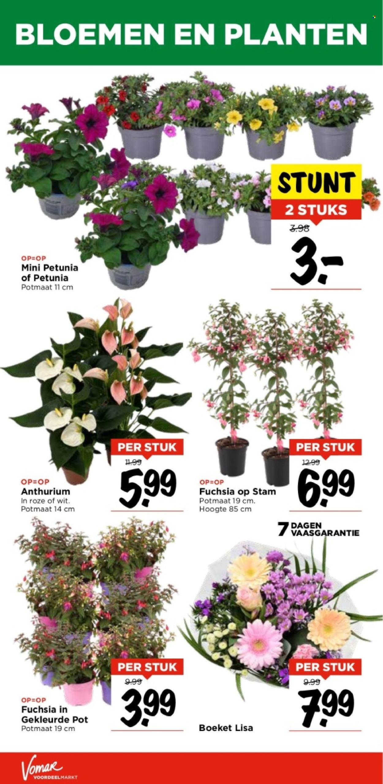 Vomar-aanbieding - 23-5-2024 - 25-5-2024. Pagina 47