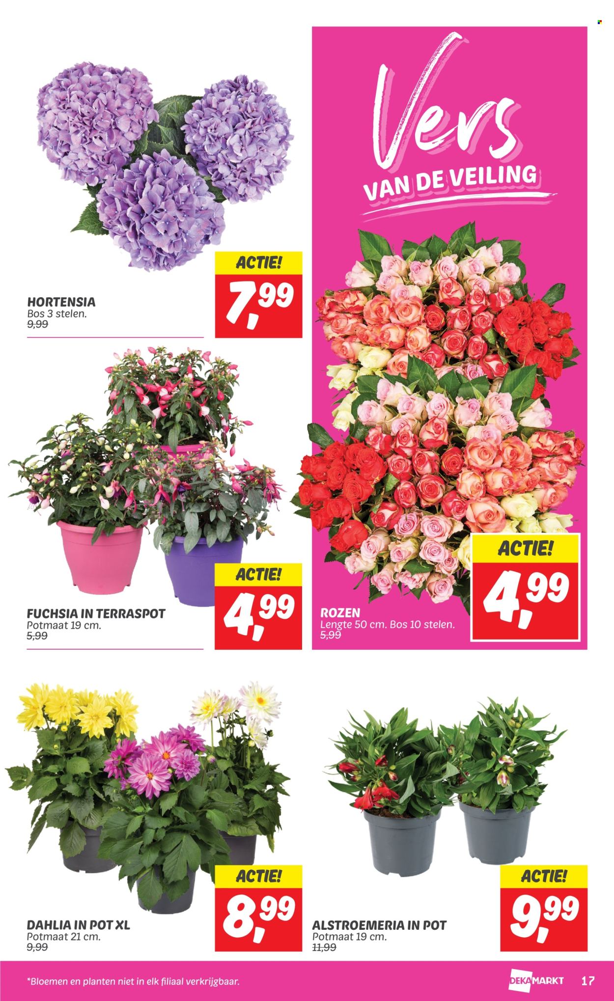 DekaMarkt-aanbieding - 28-5-2024 - 3-6-2024. Pagina 17