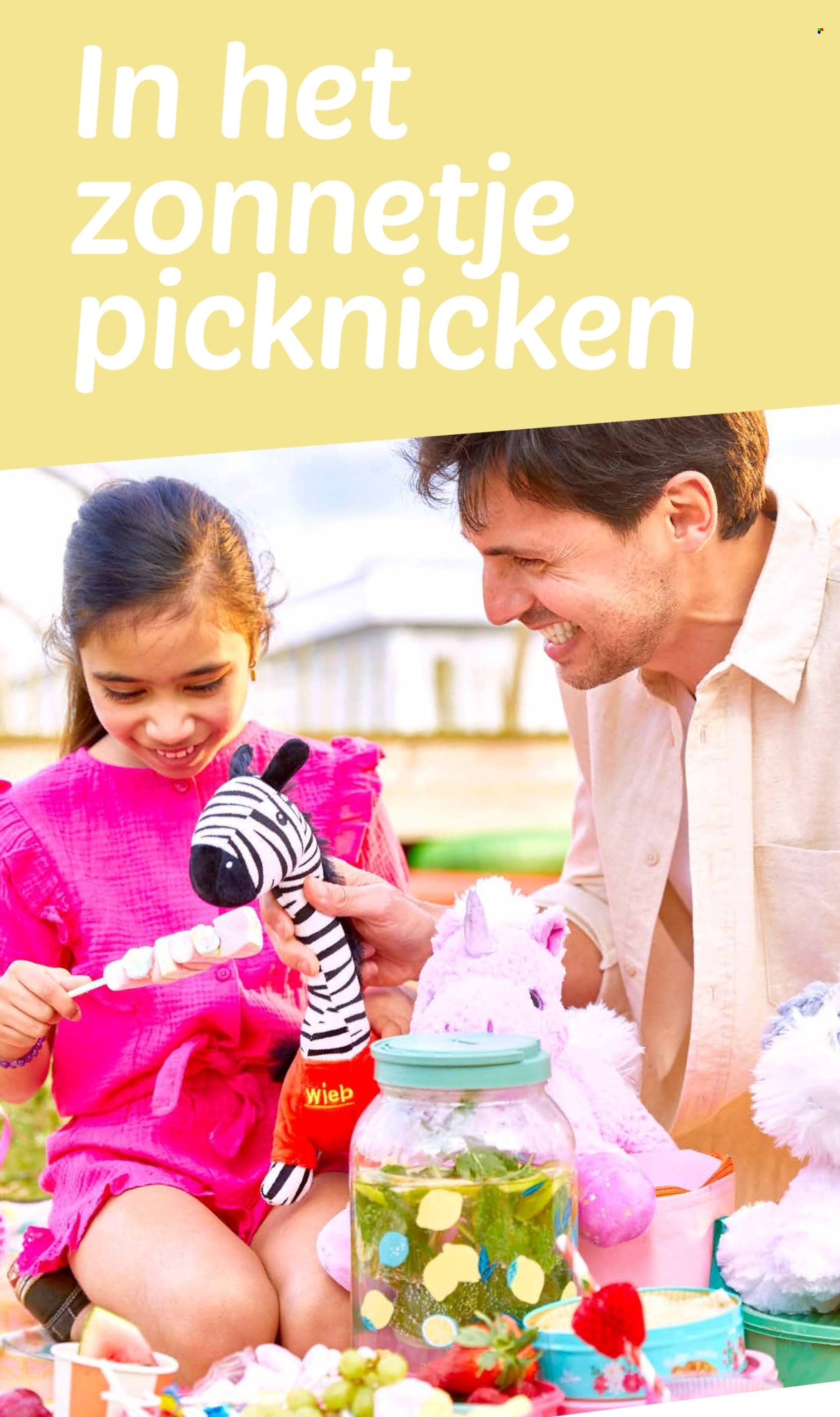 Wibra-aanbieding - 24-5-2024 - 2-6-2024. Pagina 2