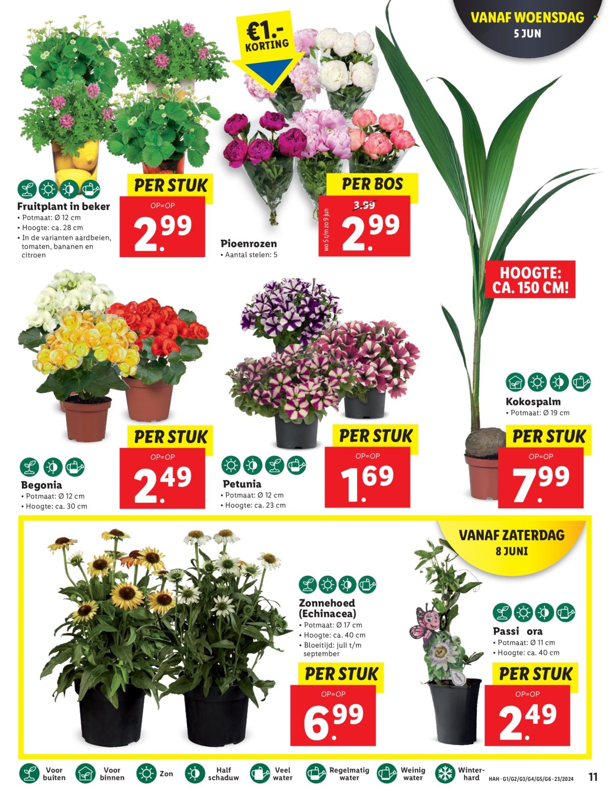 Lidl-aanbieding - 3-6-2024 - 9-6-2024. Pagina 11