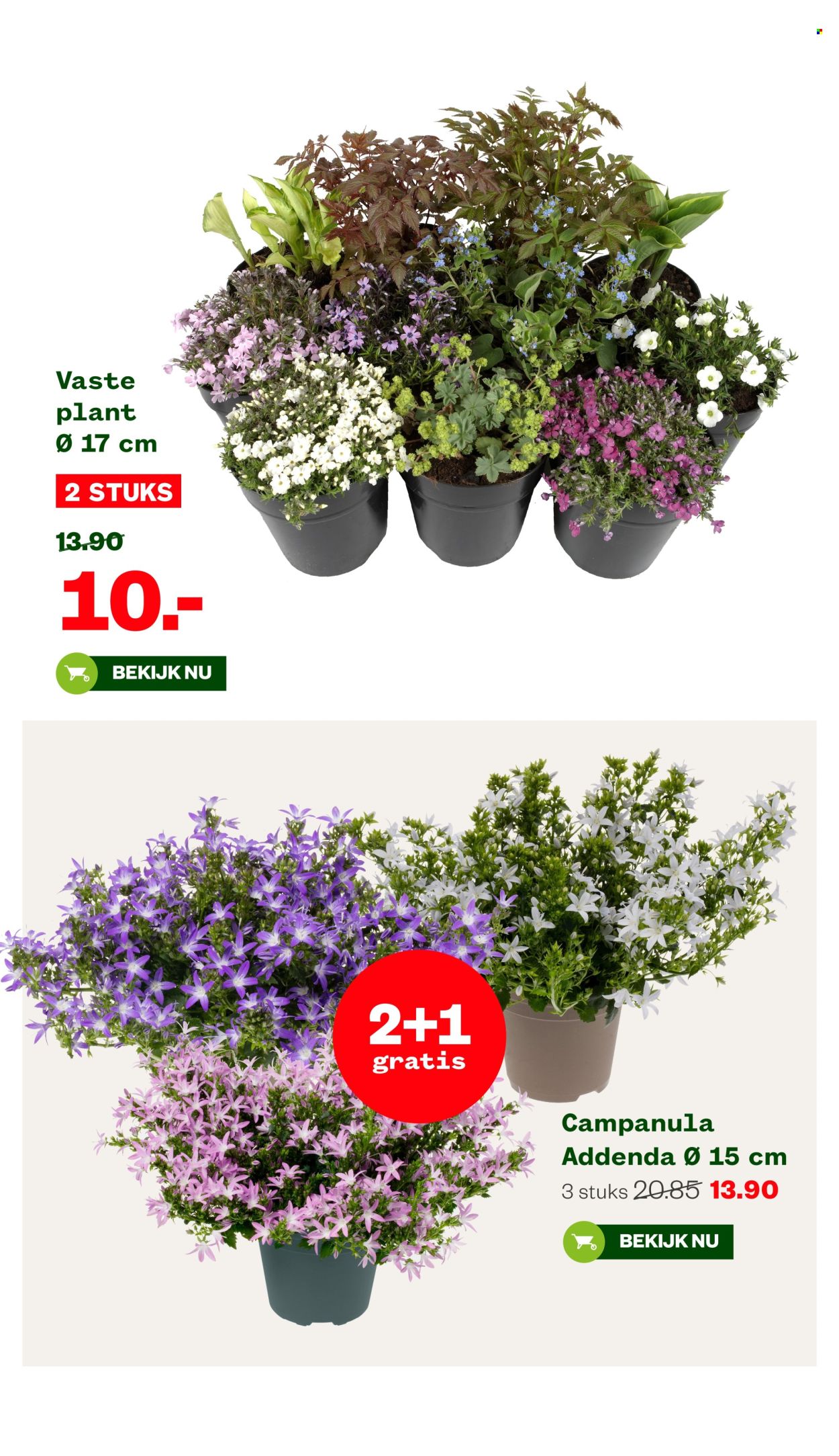 Welkoop-aanbieding - 3-6-2024 - 16-6-2024. Pagina 14