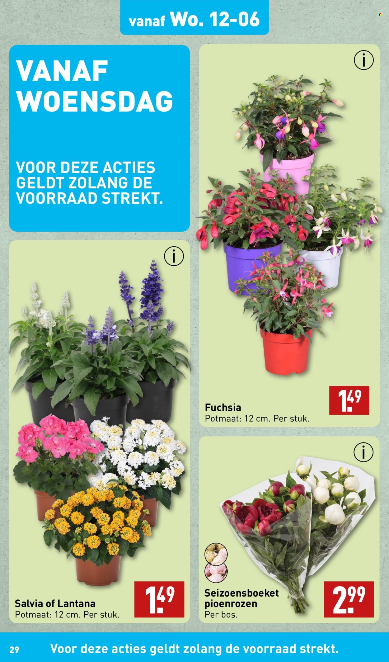Aldi-aanbieding - 10-6-2024 - 16-6-2024. Pagina 29