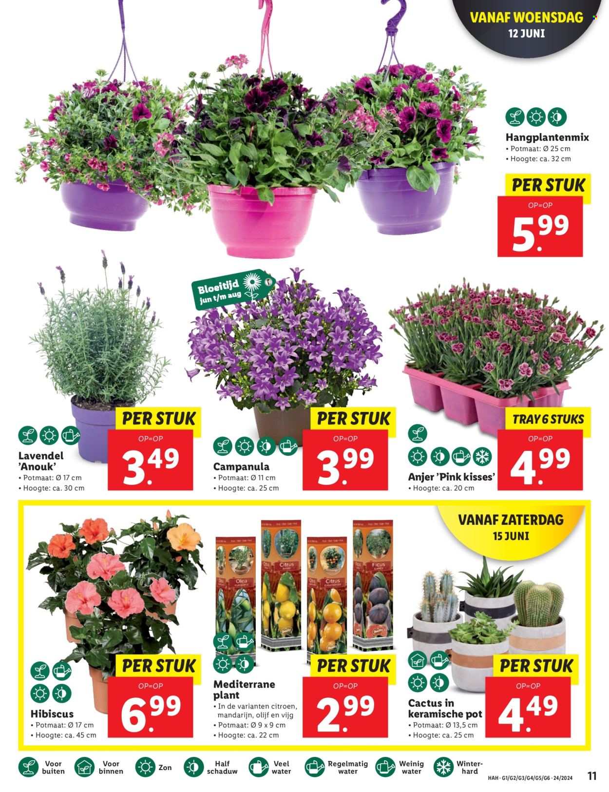 Lidl-aanbieding - 10-6-2024 - 16-6-2024. Pagina 11
