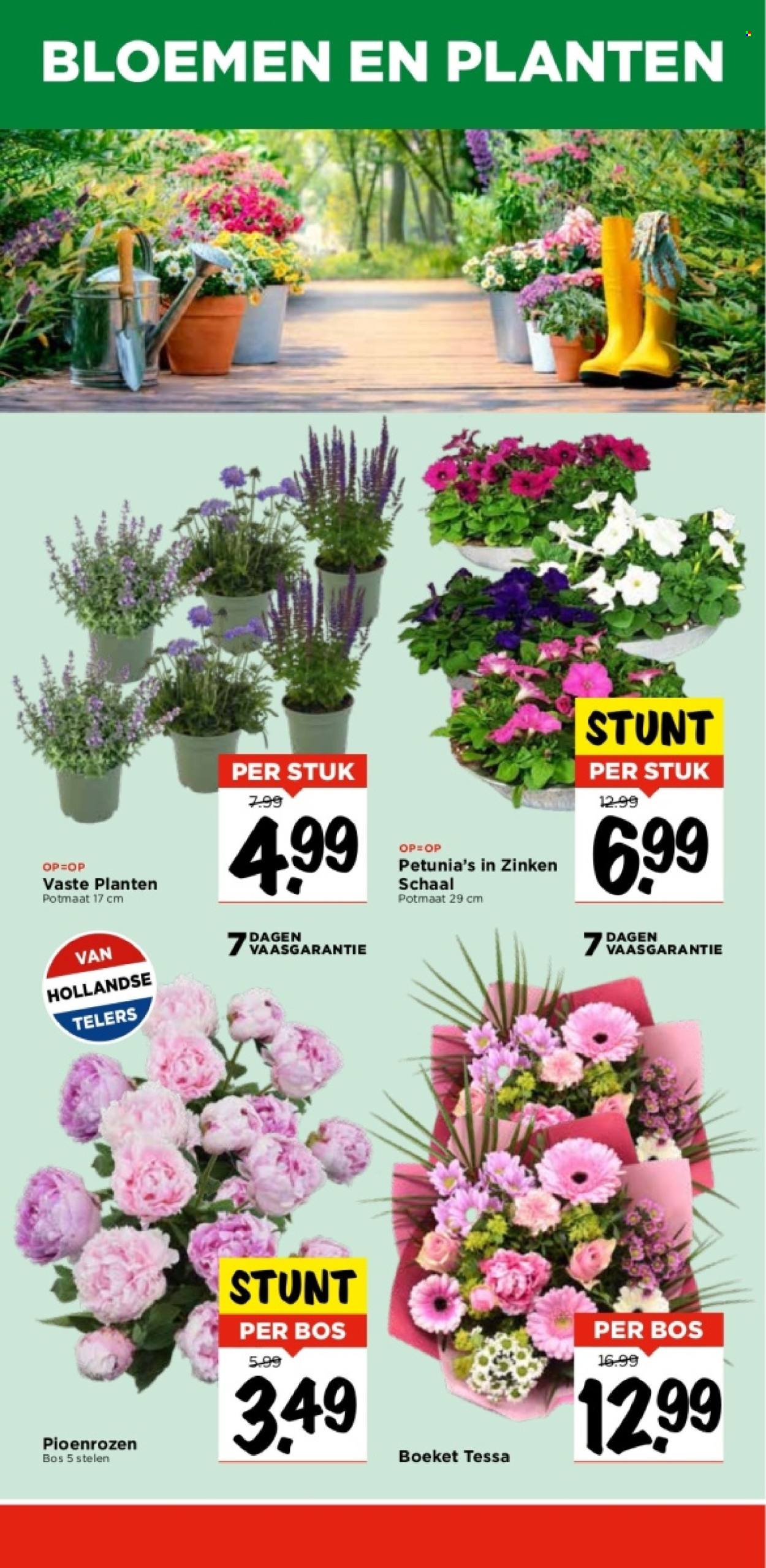 Vomar-aanbieding - 6-6-2024 - 8-6-2024. Pagina 39