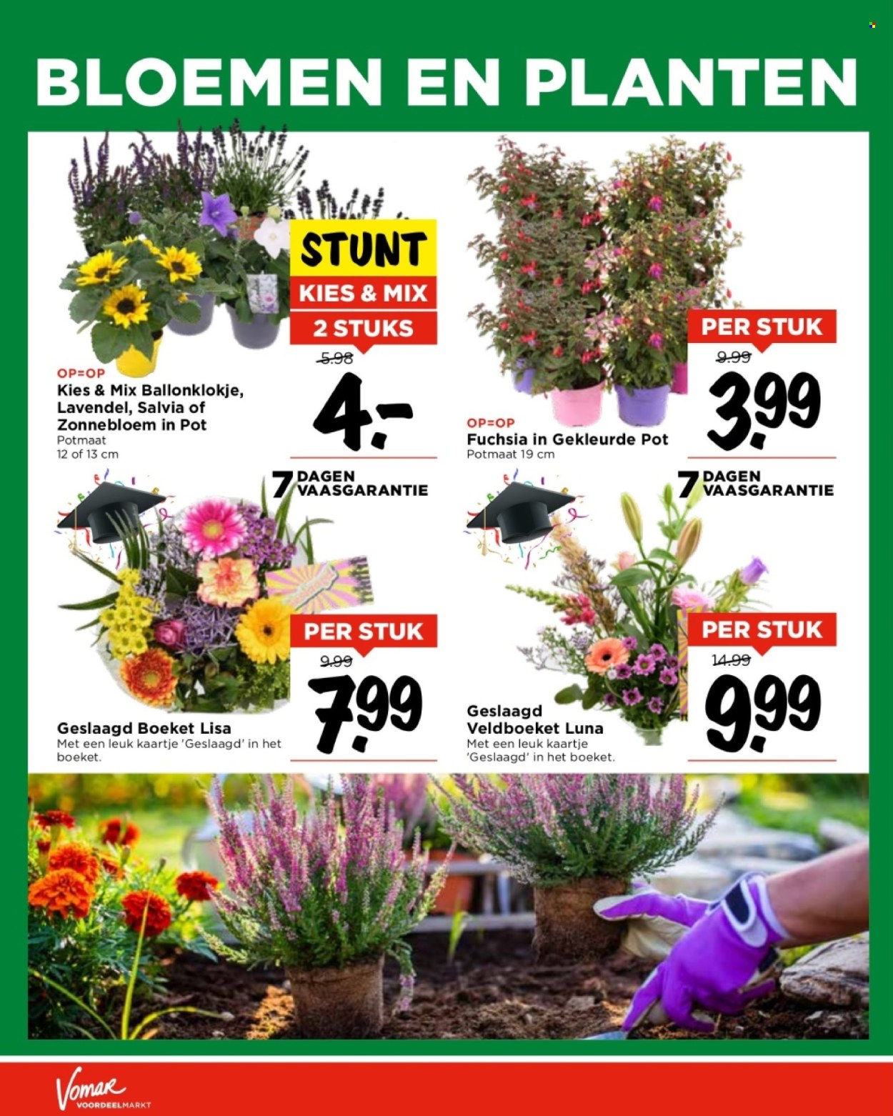 Vomar-aanbieding - 9-6-2024 - 15-6-2024. Pagina 33