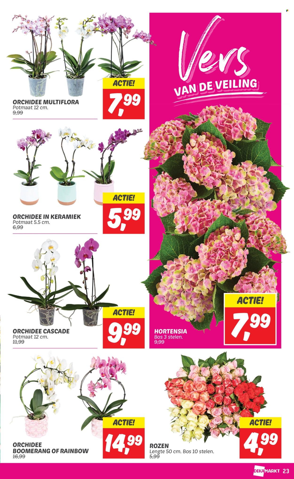DekaMarkt-aanbieding - 18-6-2024 - 24-6-2024. Pagina 23
