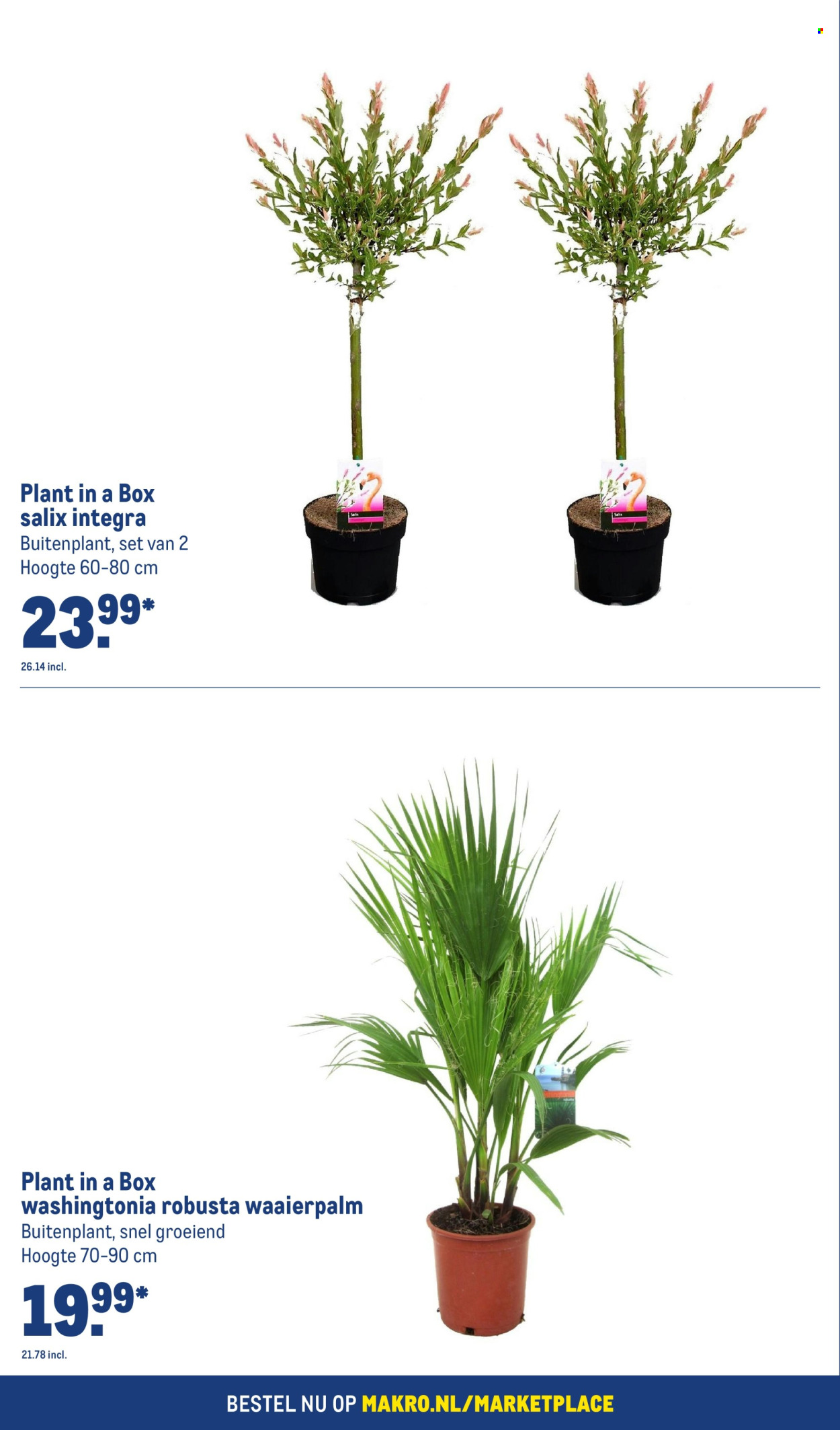 Makro-aanbieding - 19-6-2024 - 2-7-2024. Pagina 3