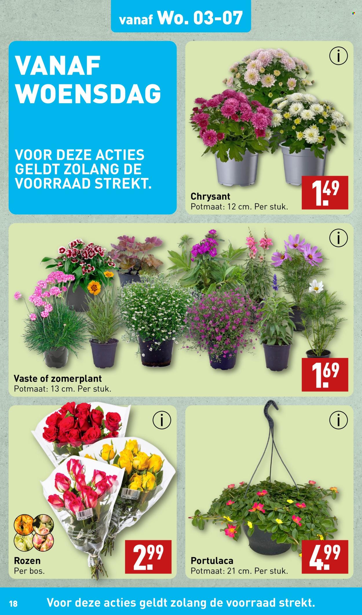 Aldi-aanbieding - 1-7-2024 - 7-7-2024. Pagina 18