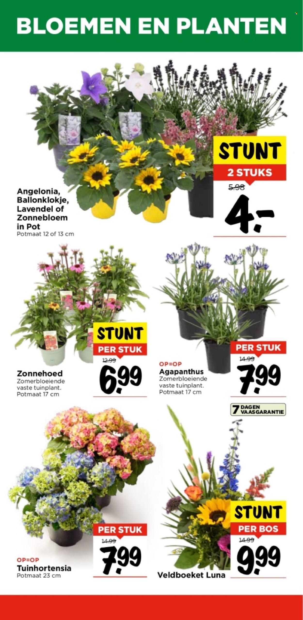 Vomar-aanbieding - 27-6-2024 - 29-6-2024. Pagina 34