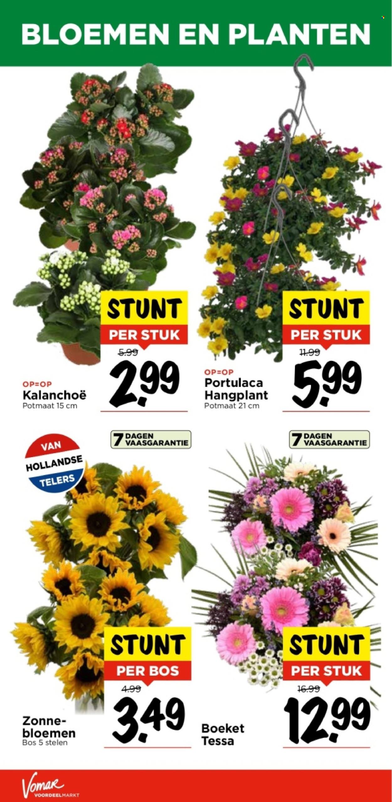 Vomar-aanbieding - 30-6-2024 - 6-7-2024. Pagina 31