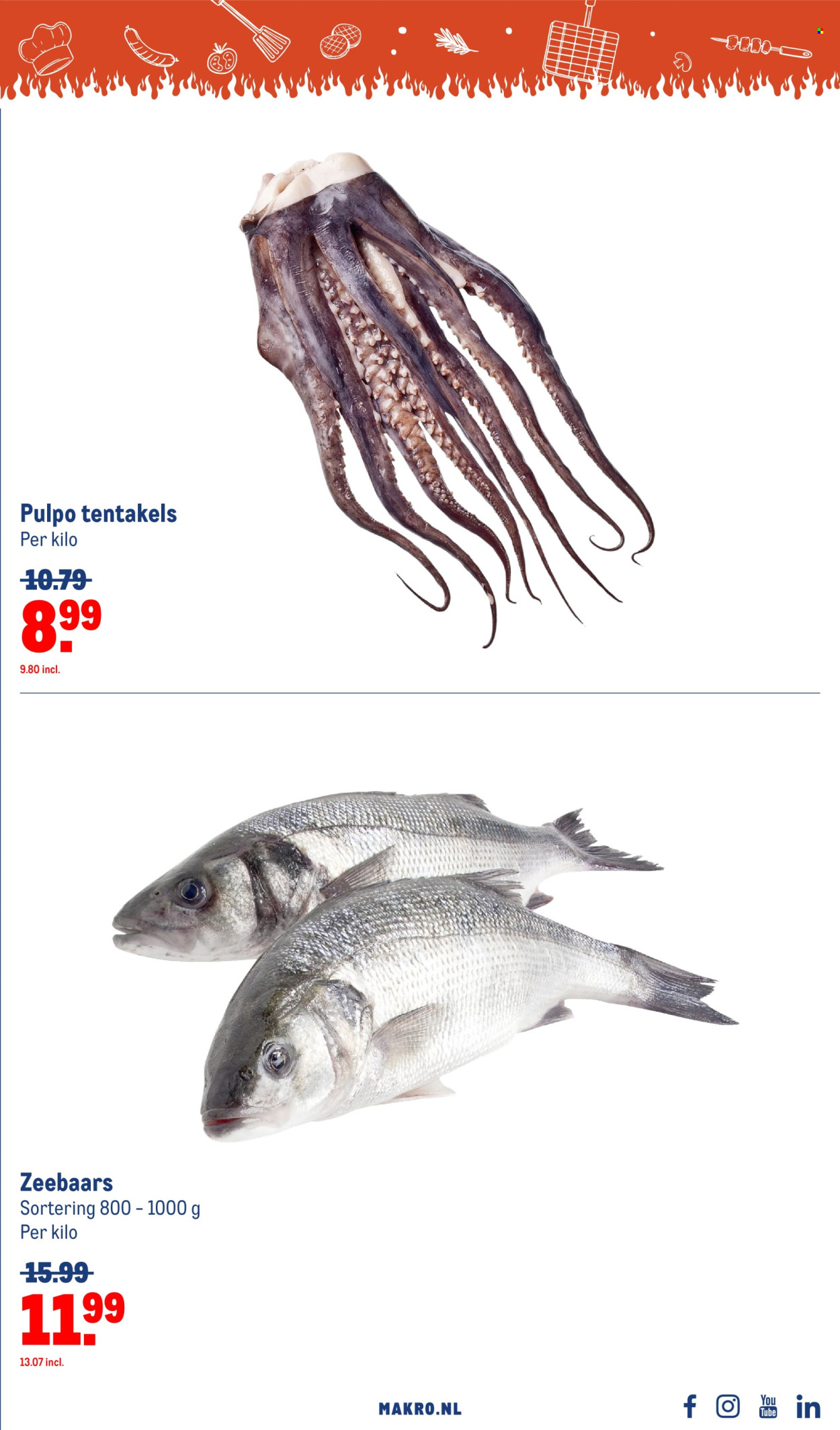 Makro-aanbieding - 3-7-2024 - 30-7-2024. Pagina 15